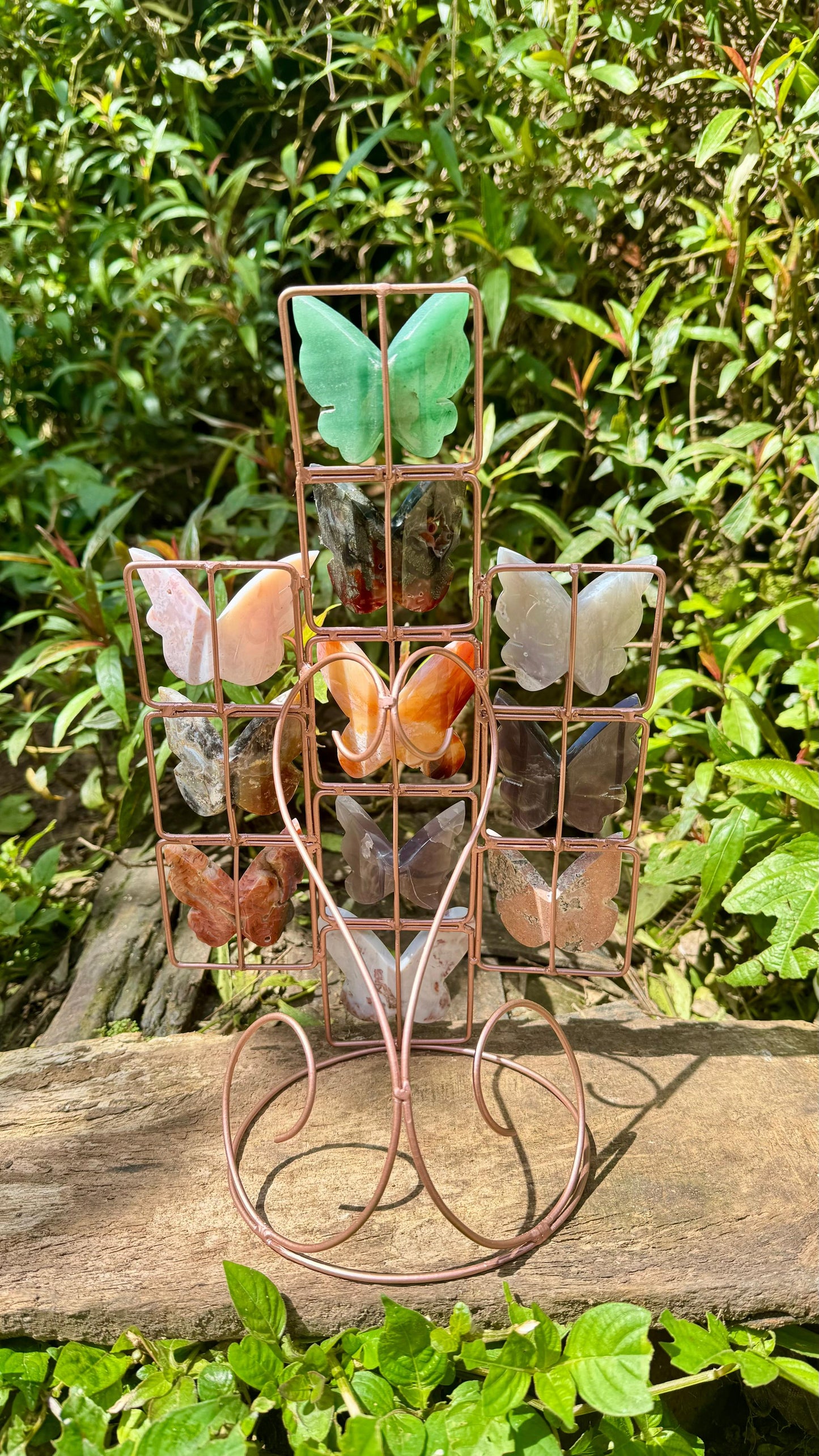 Oak&Quartz Custom 3D Butterfly Stand *PRE-ORDER*