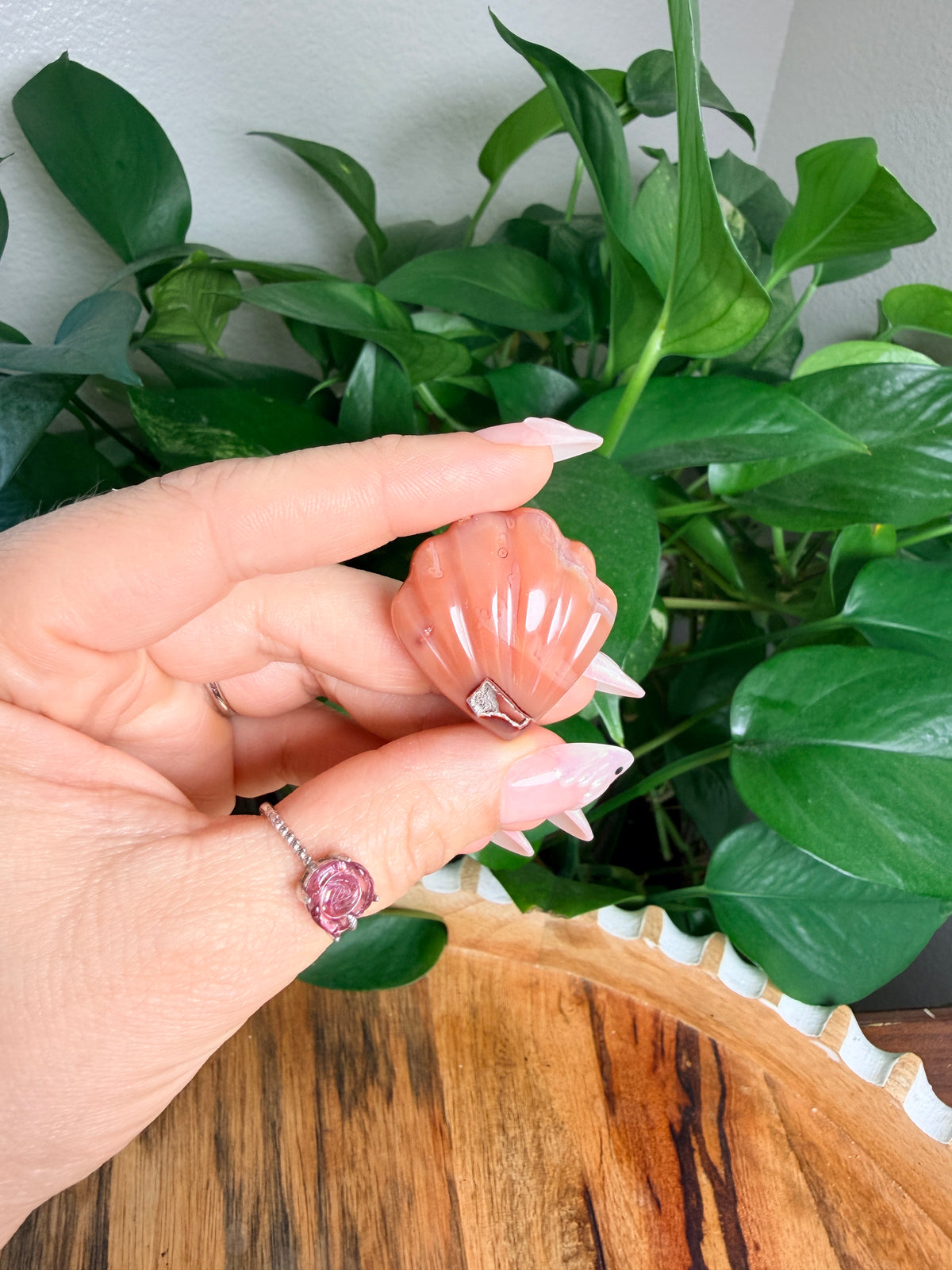 Carnelian Mini Shells