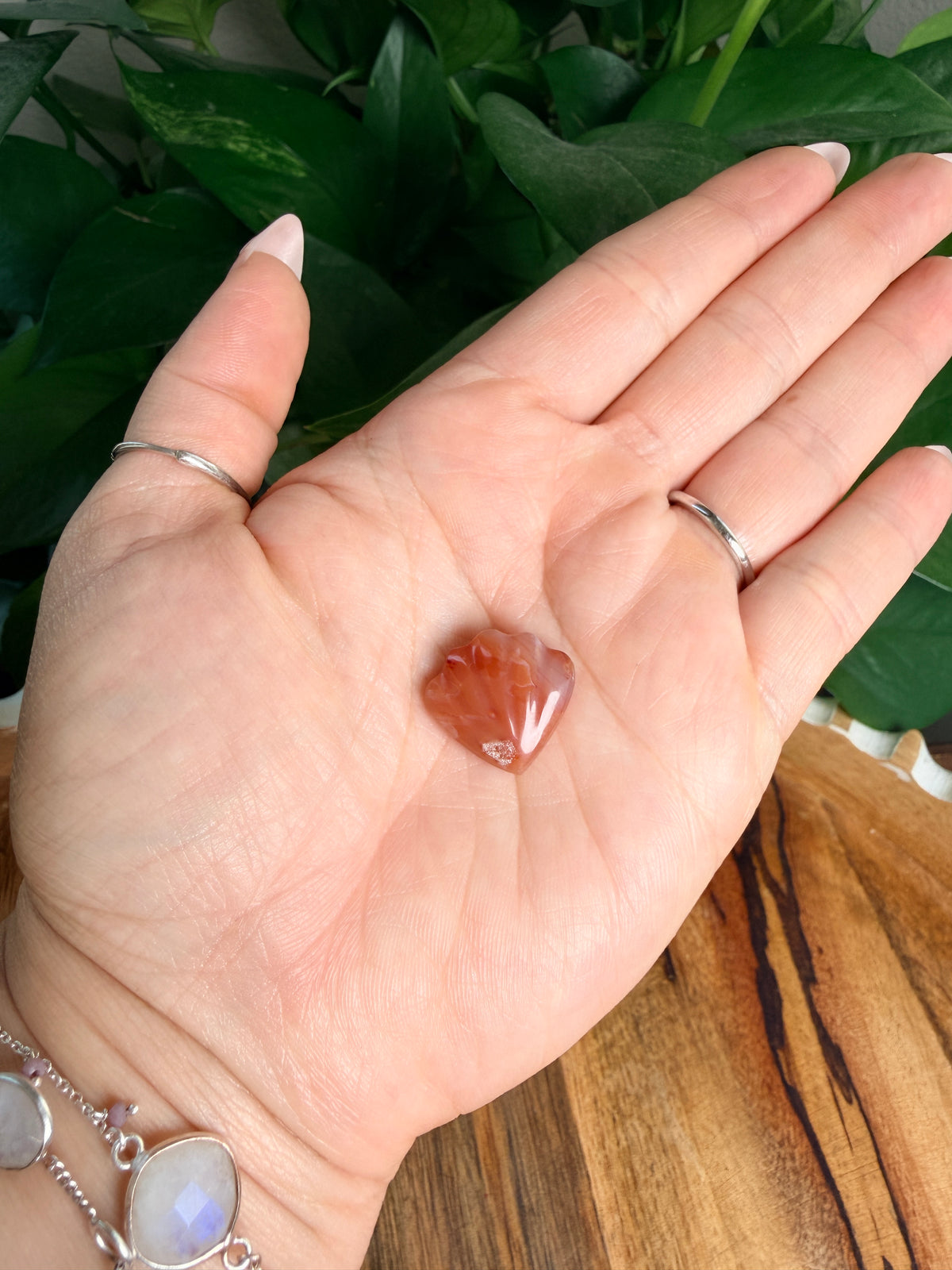 Carnelian Mini Shells