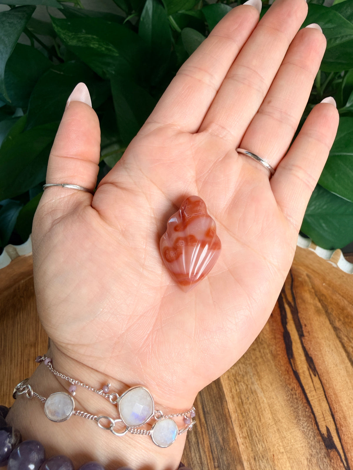 Carnelian Mini Shells