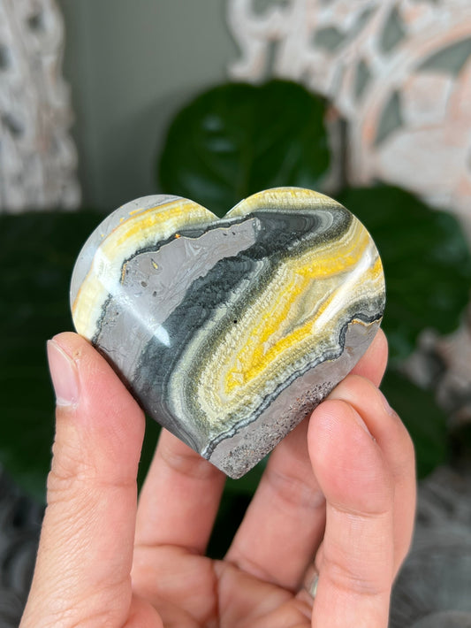 Bumblebee Jasper Hearts