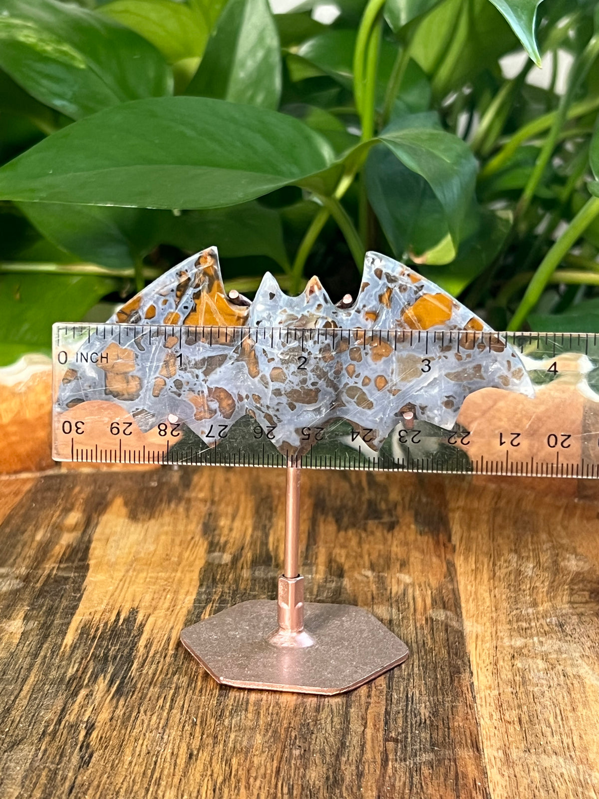 Brecciated Jasper On Metal Stand Bats