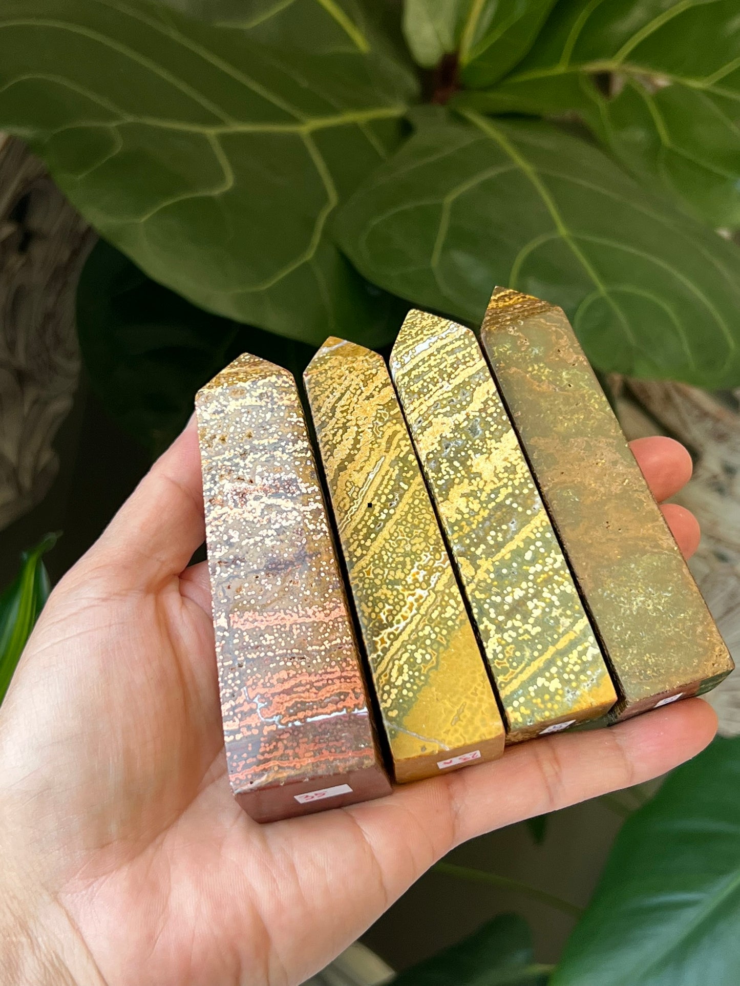 Ocean Jasper Towers
