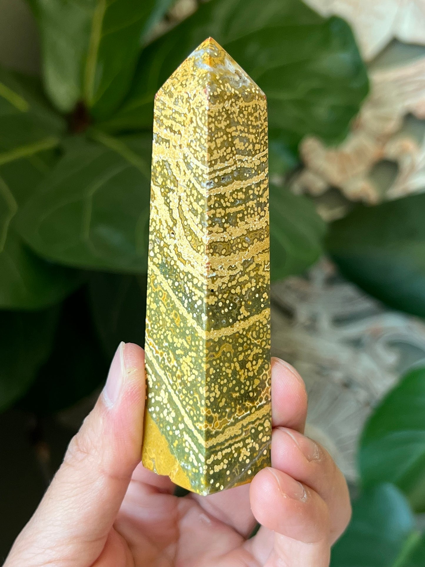 Ocean Jasper Towers