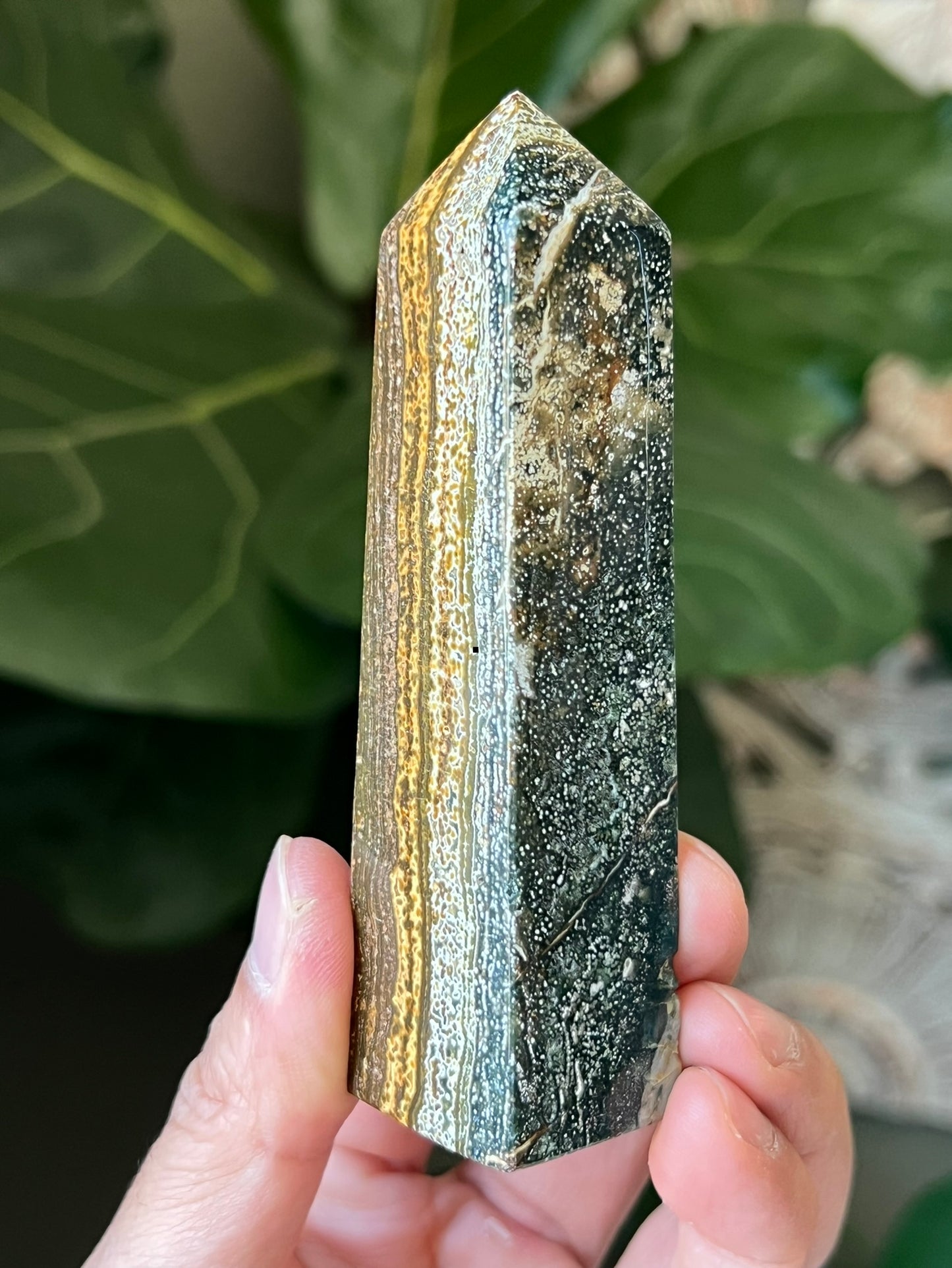 Ocean Jasper Towers