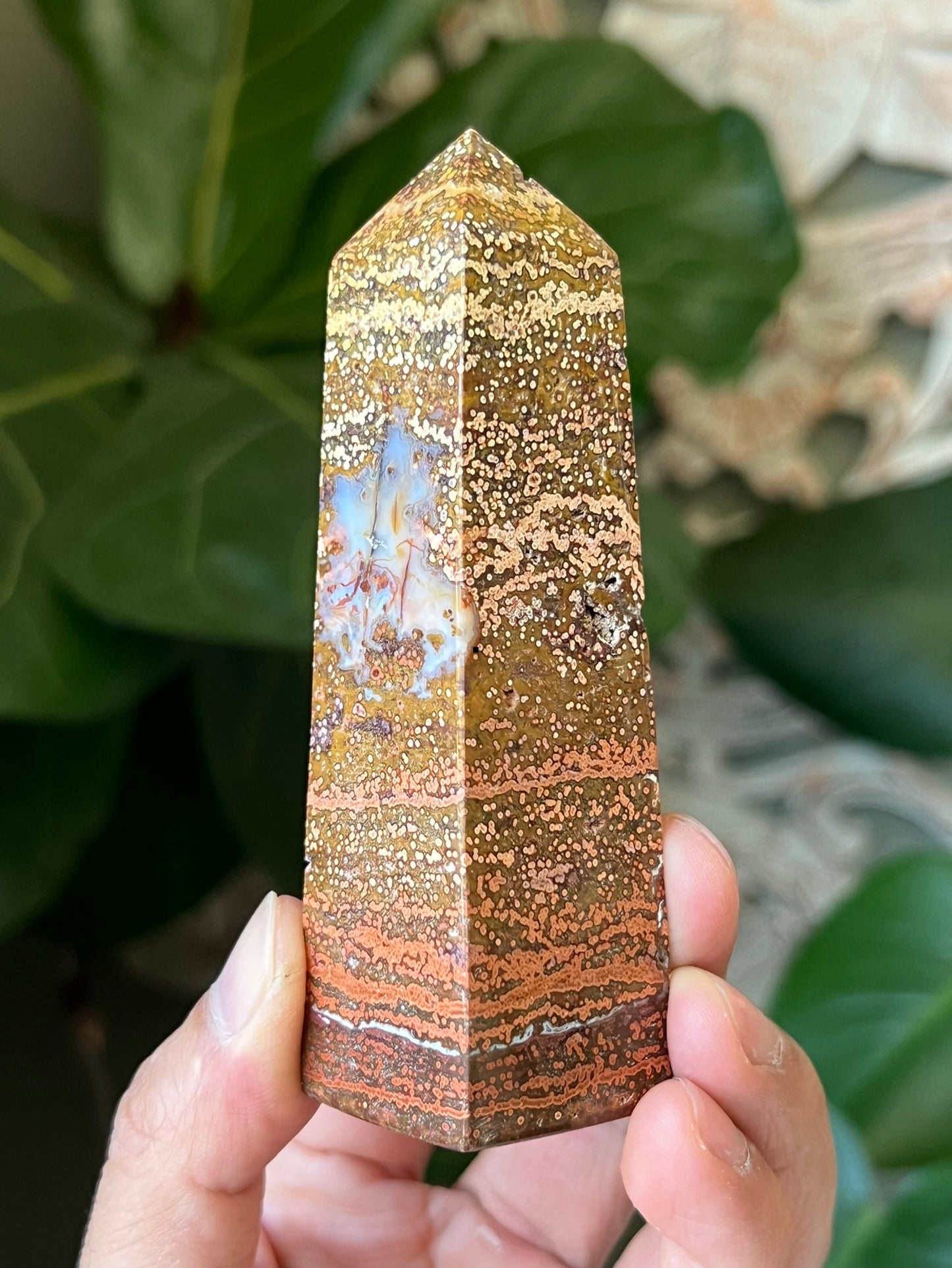 Ocean Jasper Towers