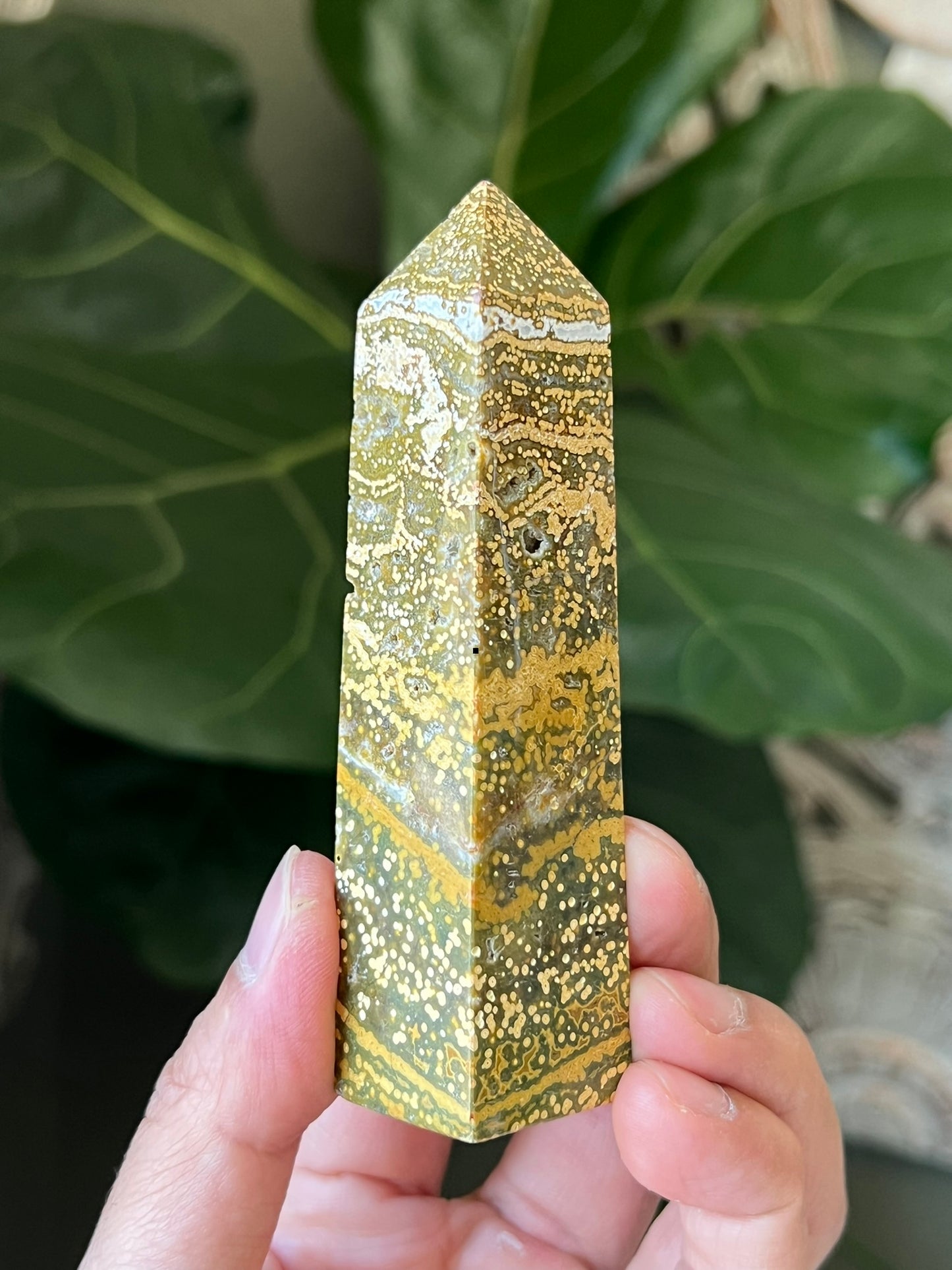 Ocean Jasper Towers