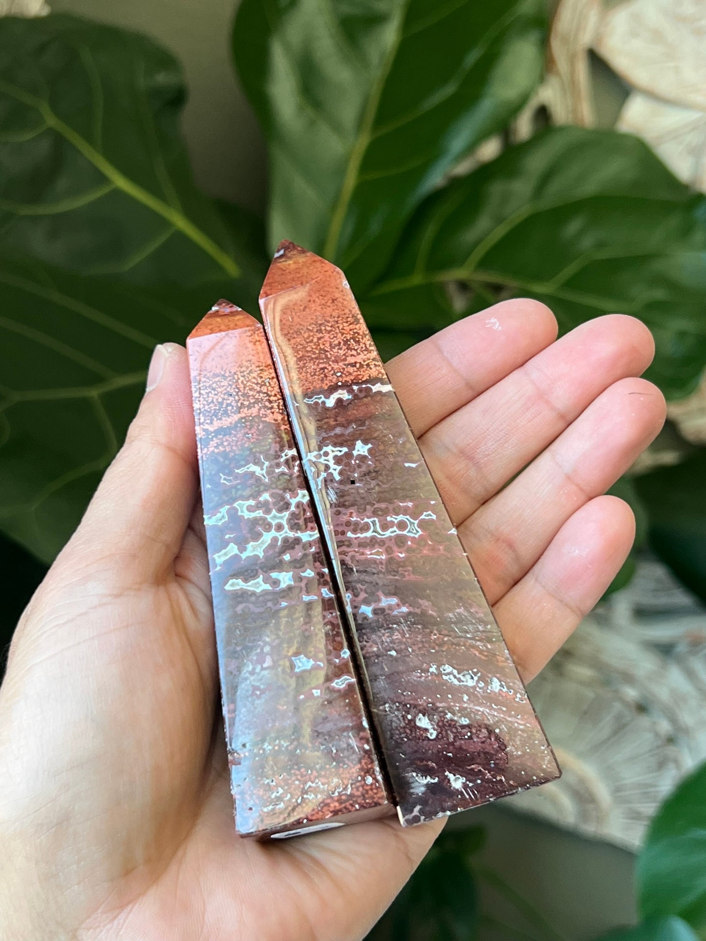 Ocean Jasper Towers