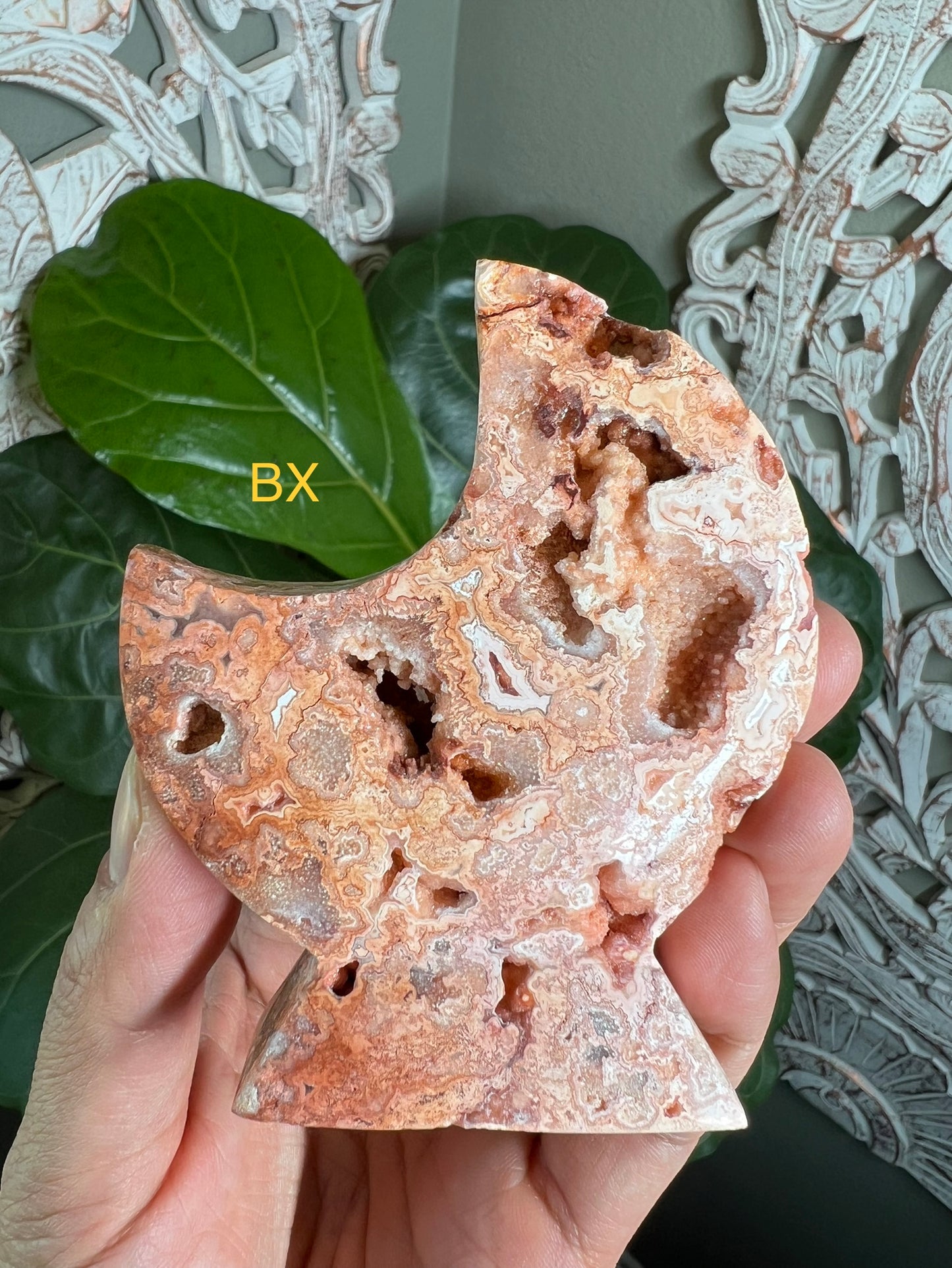 Crazy Lace Agate Moon