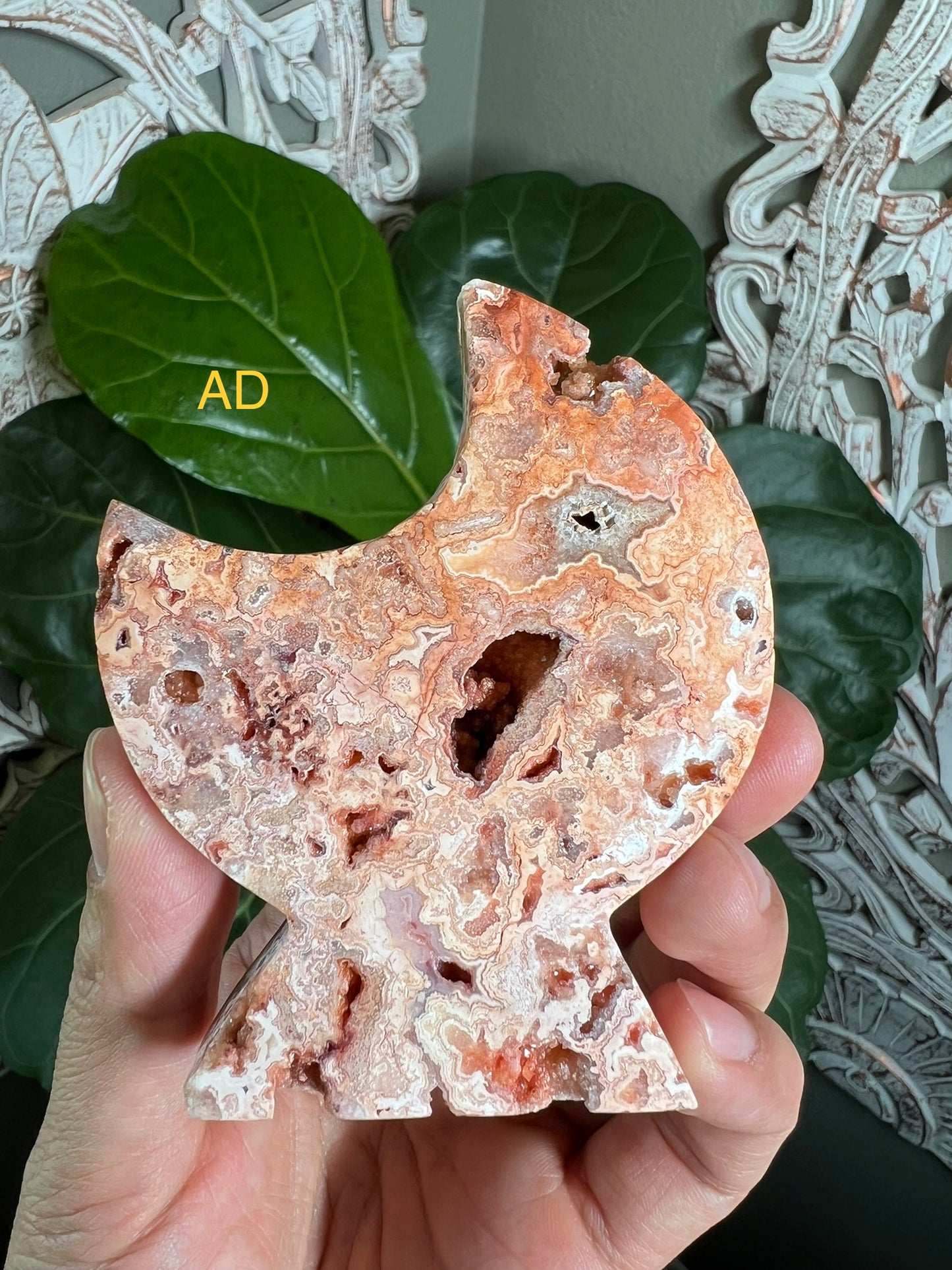 Crazy Lace Agate Moon