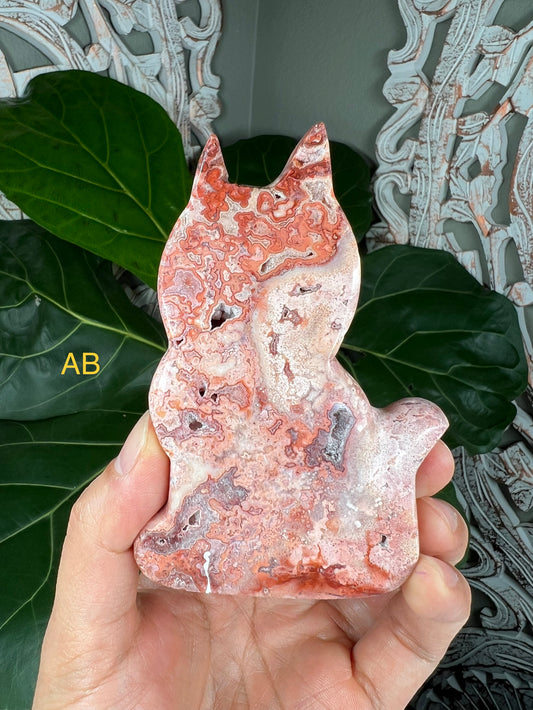 Crazy Lace Agate Cats