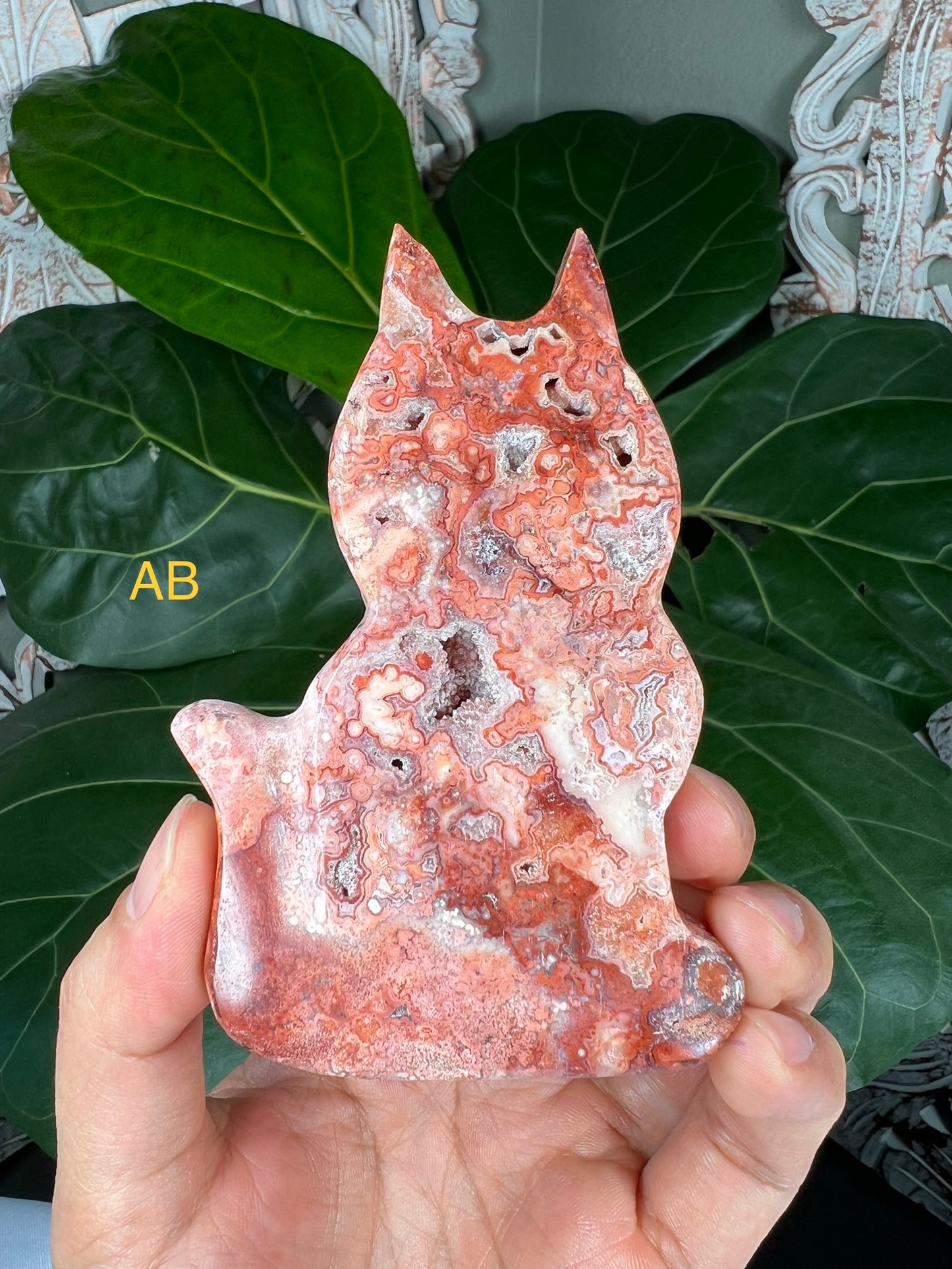 Crazy Lace Agate Cats