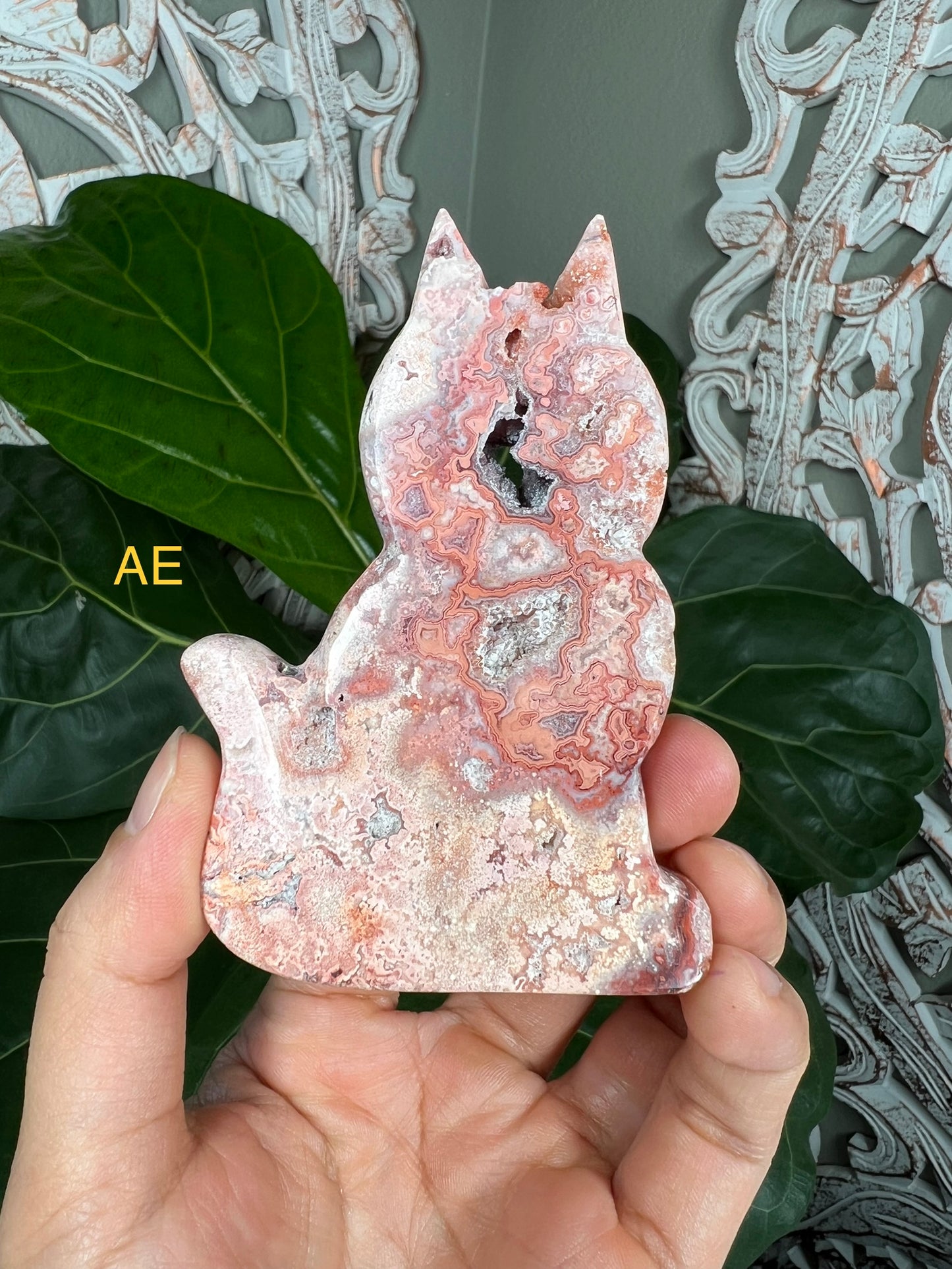Crazy Lace Agate Cats