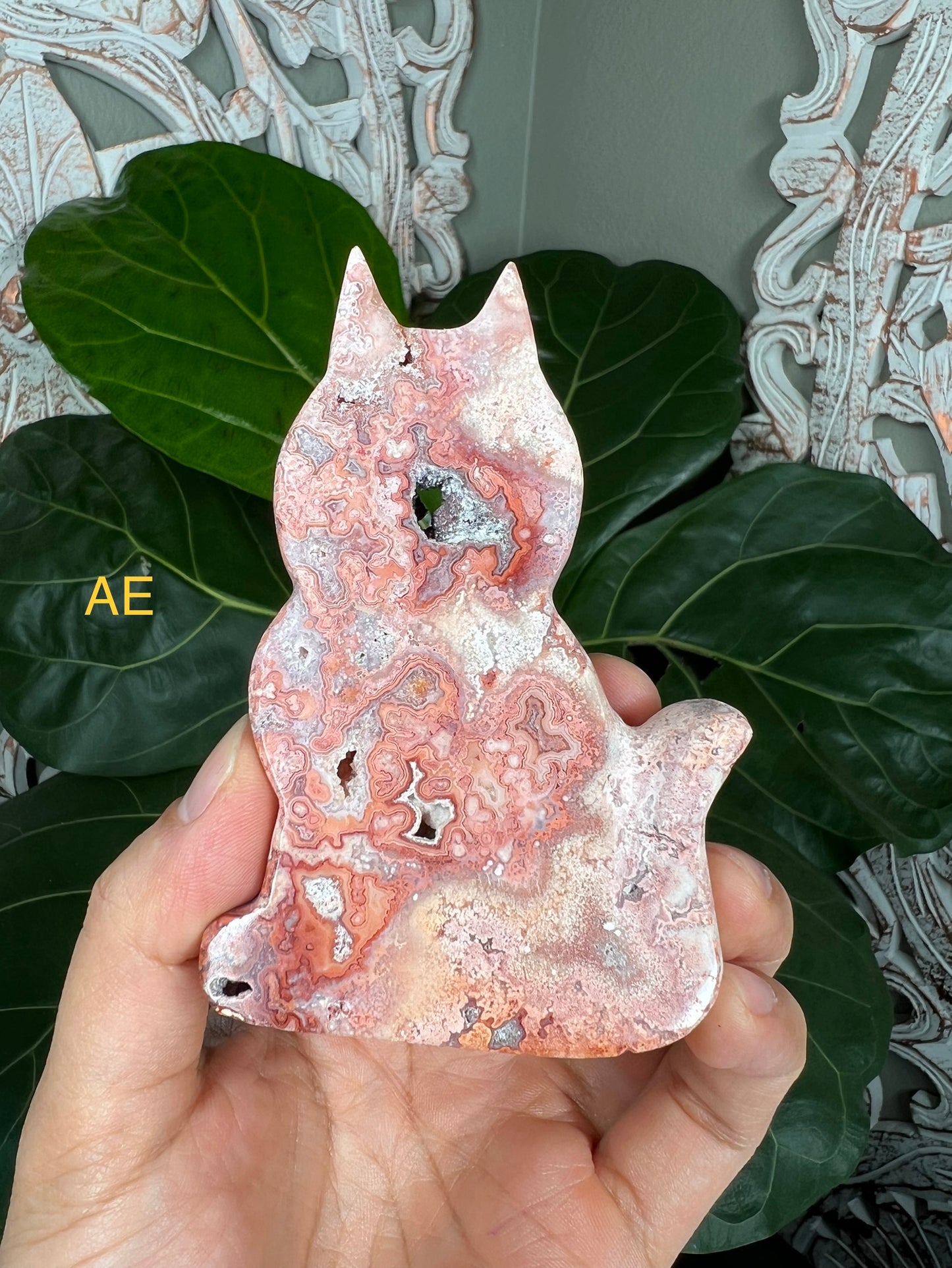 Crazy Lace Agate Cats