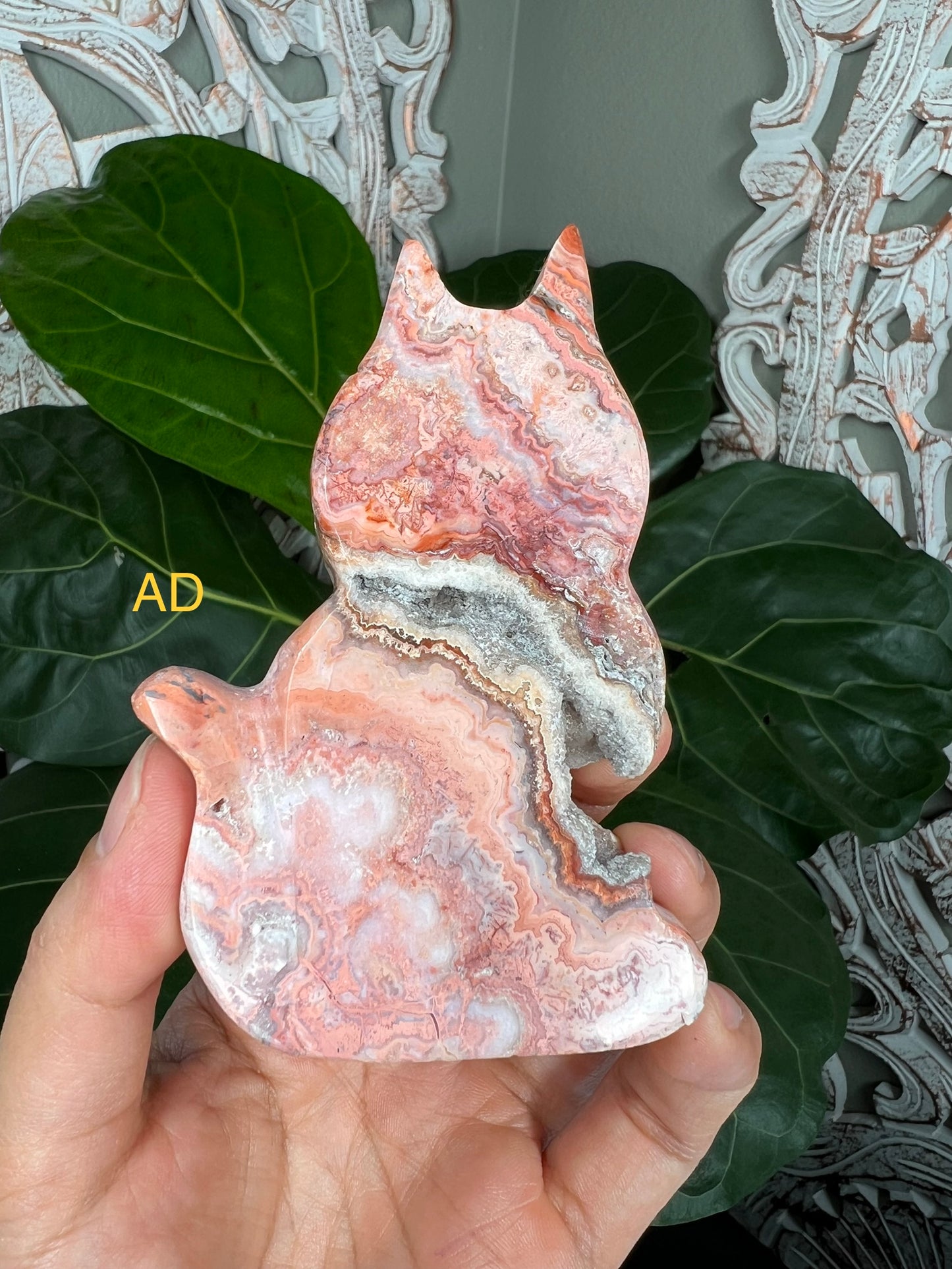 Crazy Lace Agate Cats