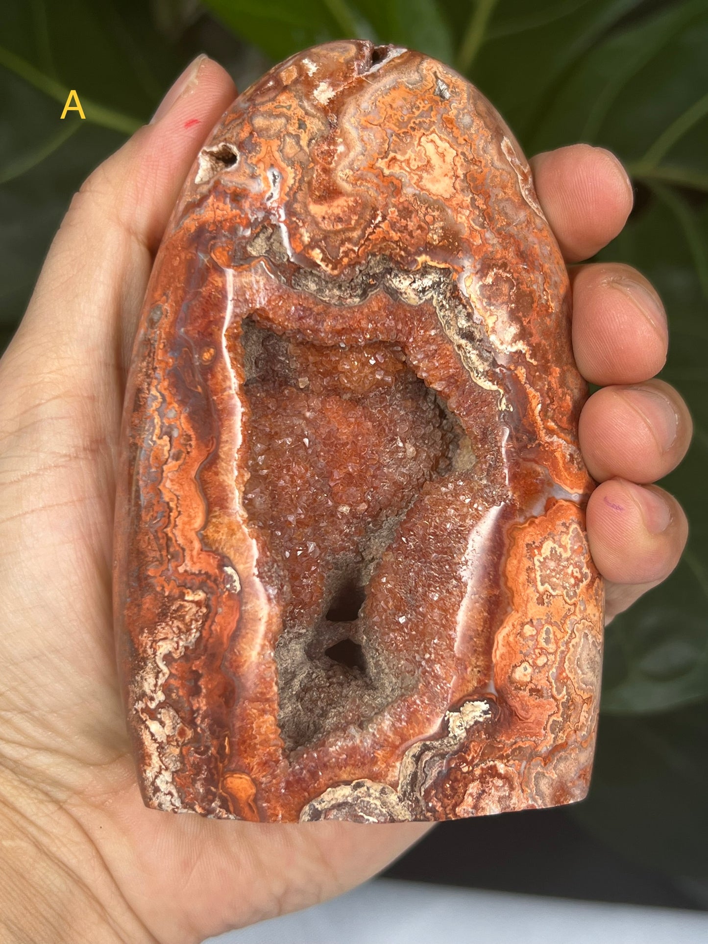 Crazy Lace Agate Freeforms