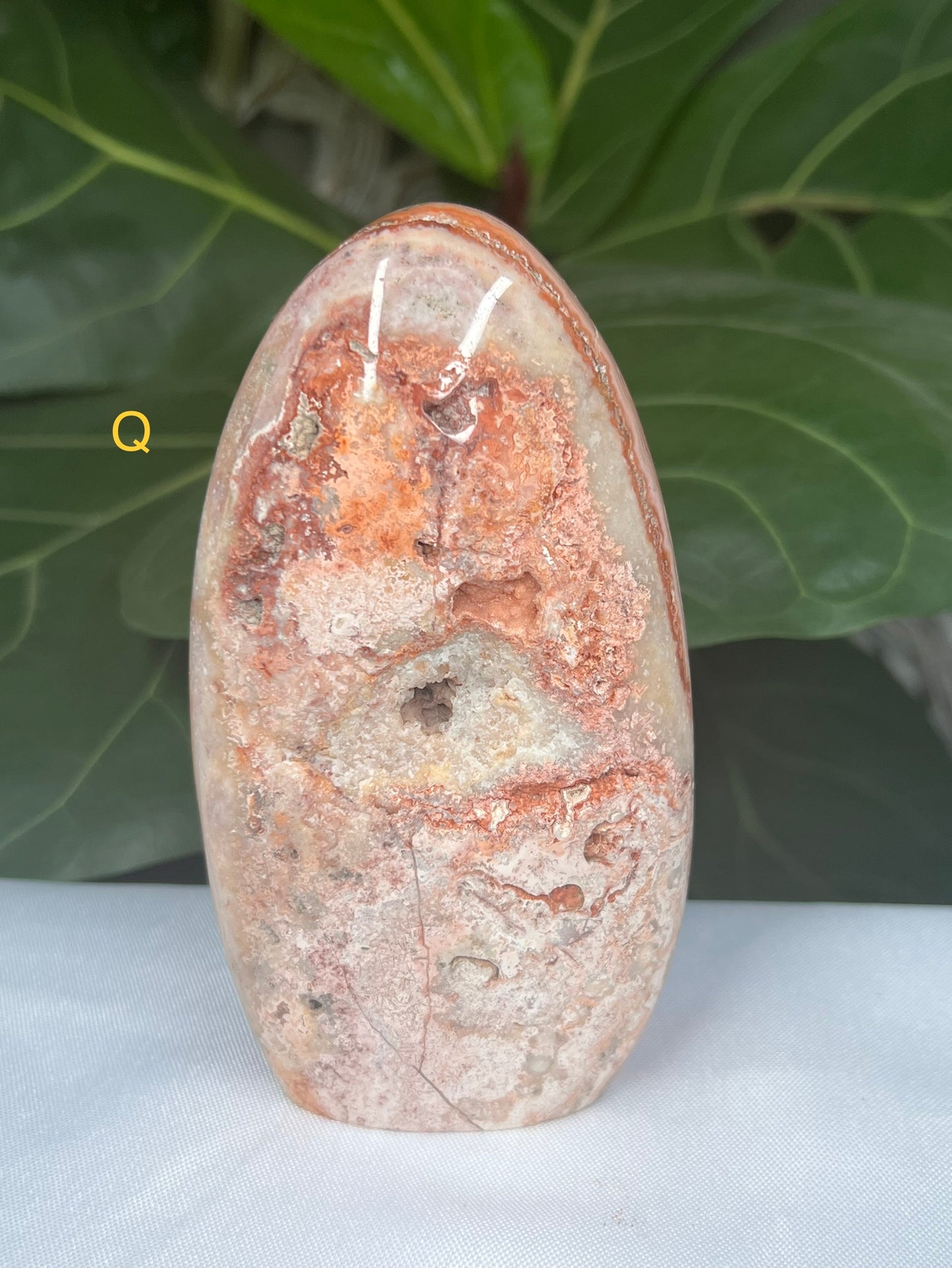 Crazy Lace Agate Freeforms