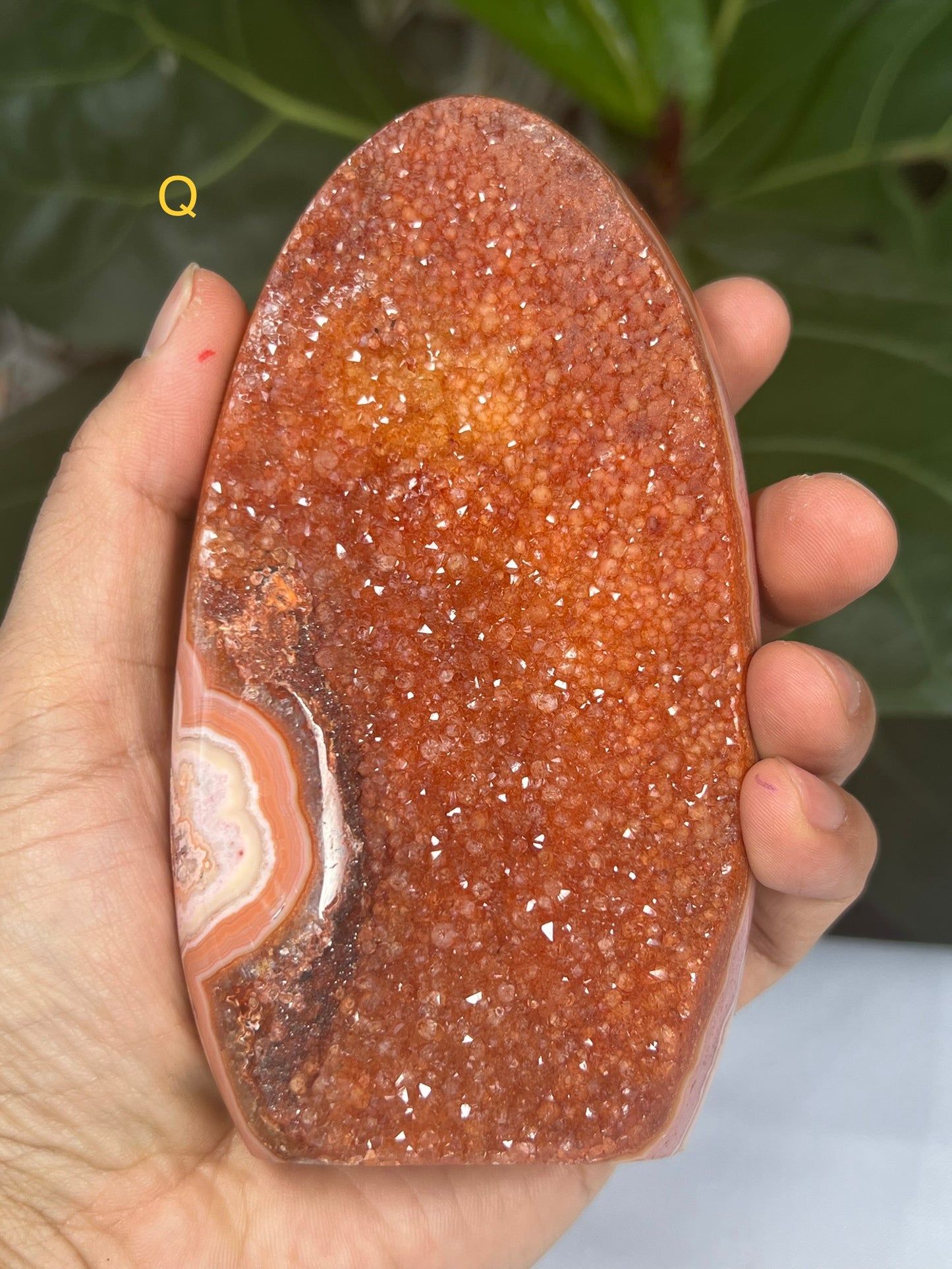 Crazy Lace Agate Freeforms