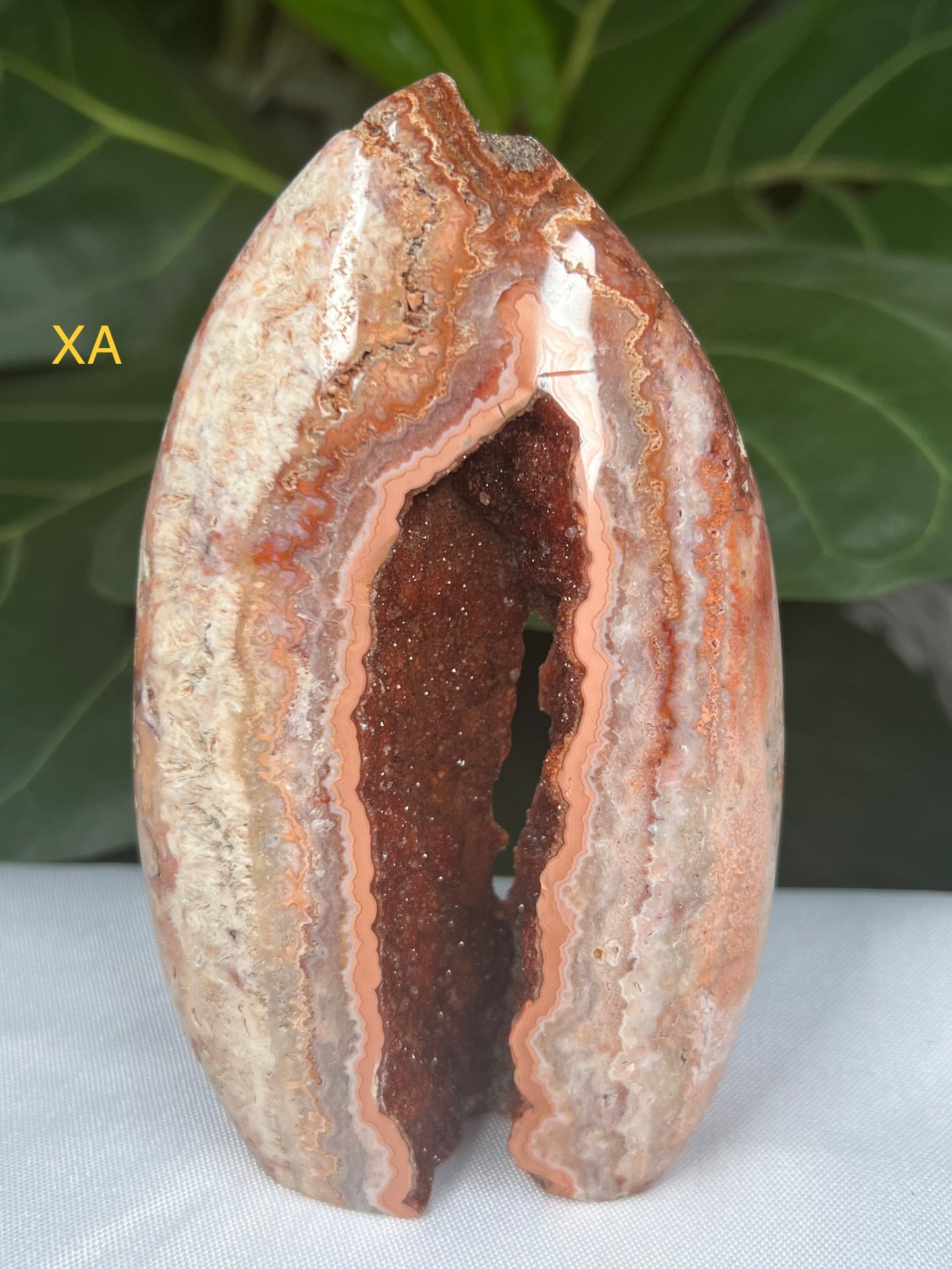 Crazy Lace Agate Freeforms