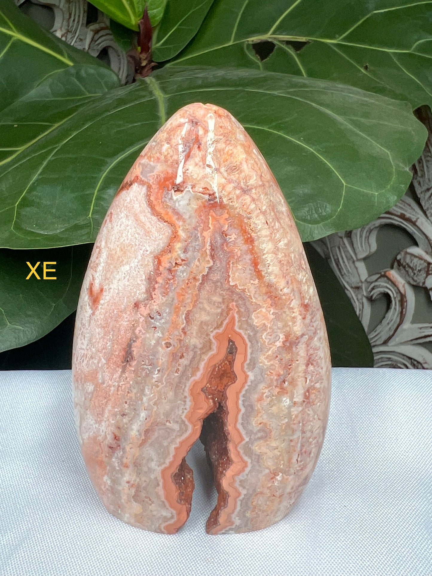 Crazy Lace Agate Freeforms
