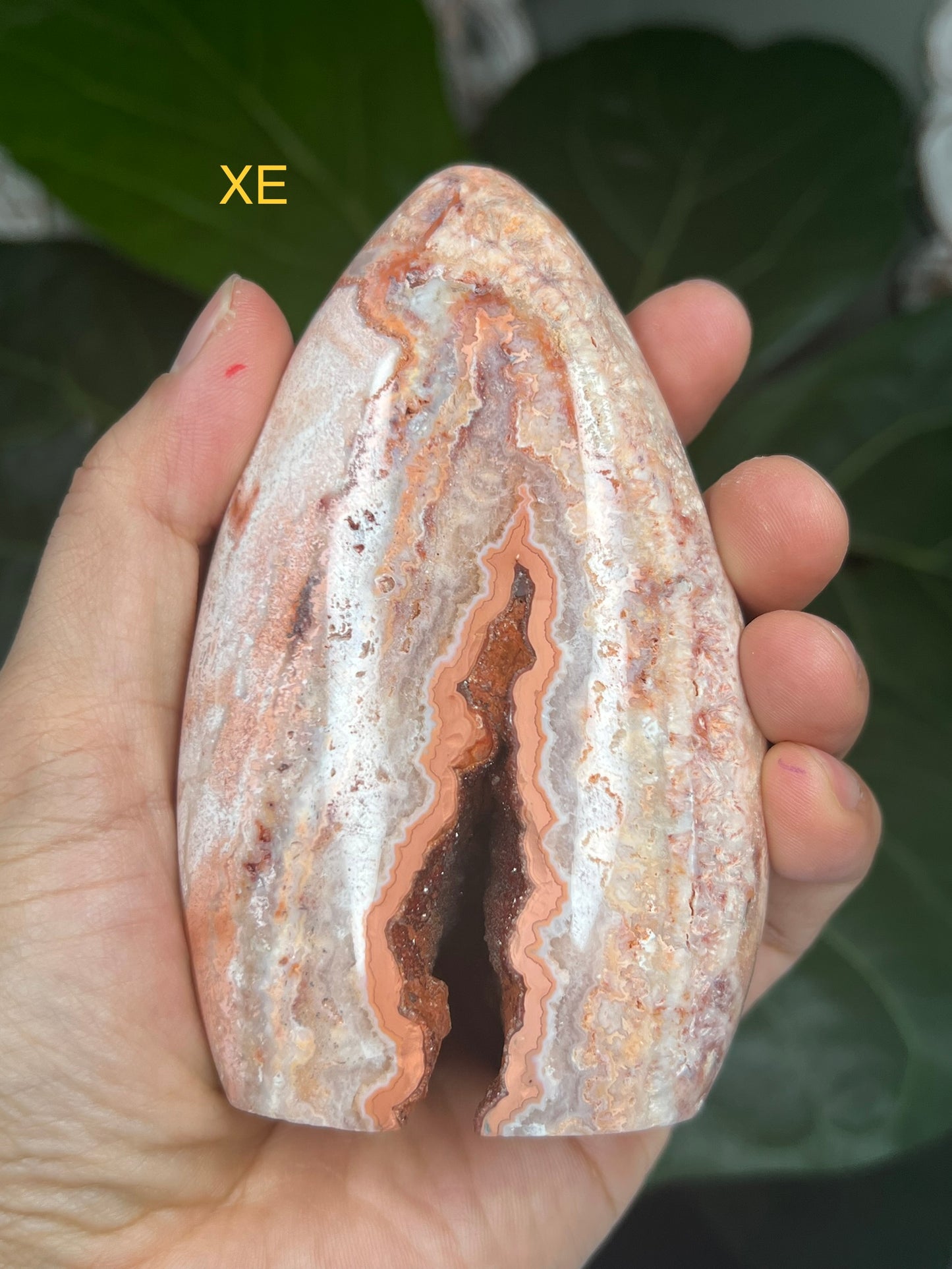 Crazy Lace Agate Freeforms