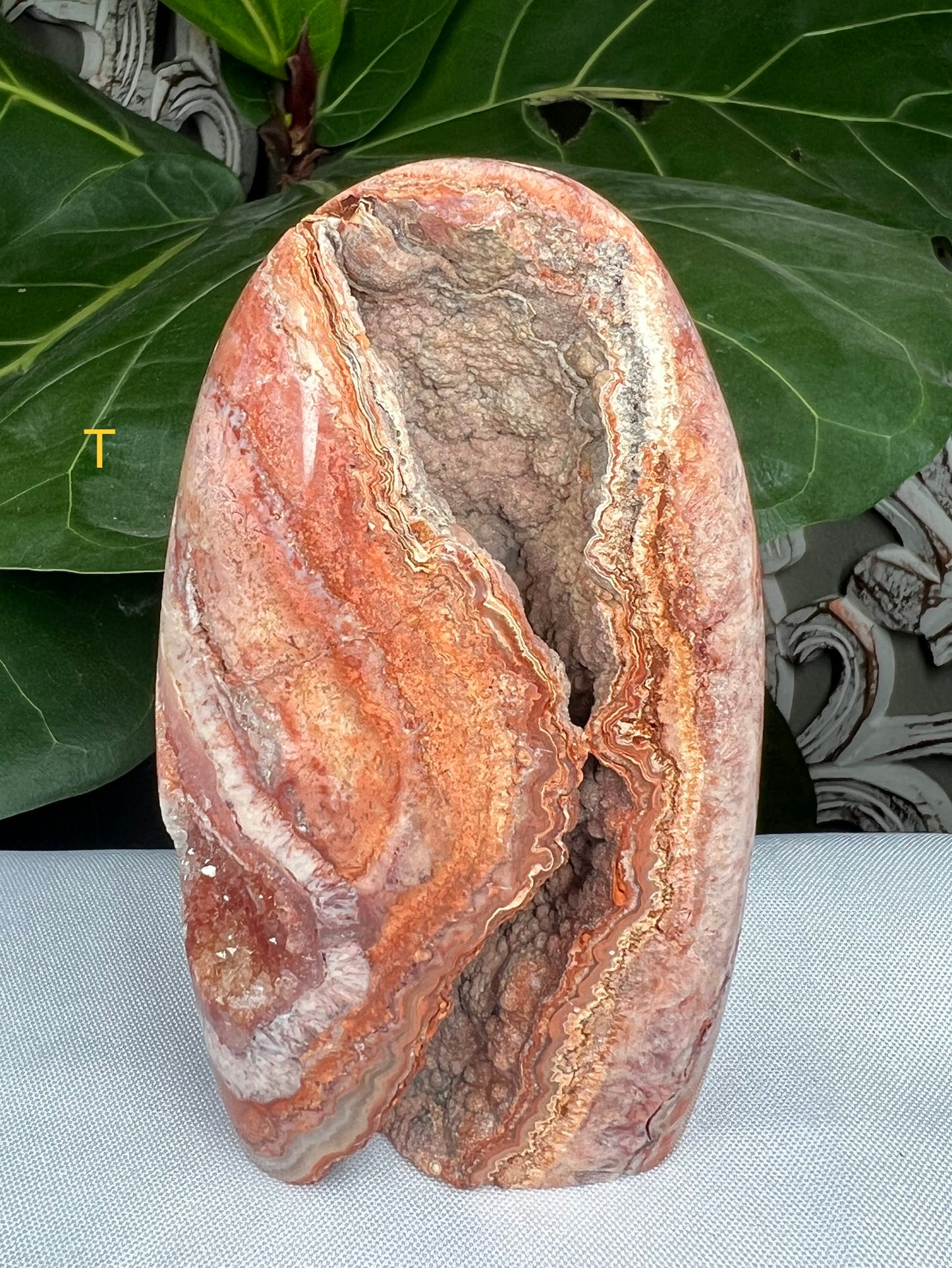 Crazy Lace Agate Freeforms