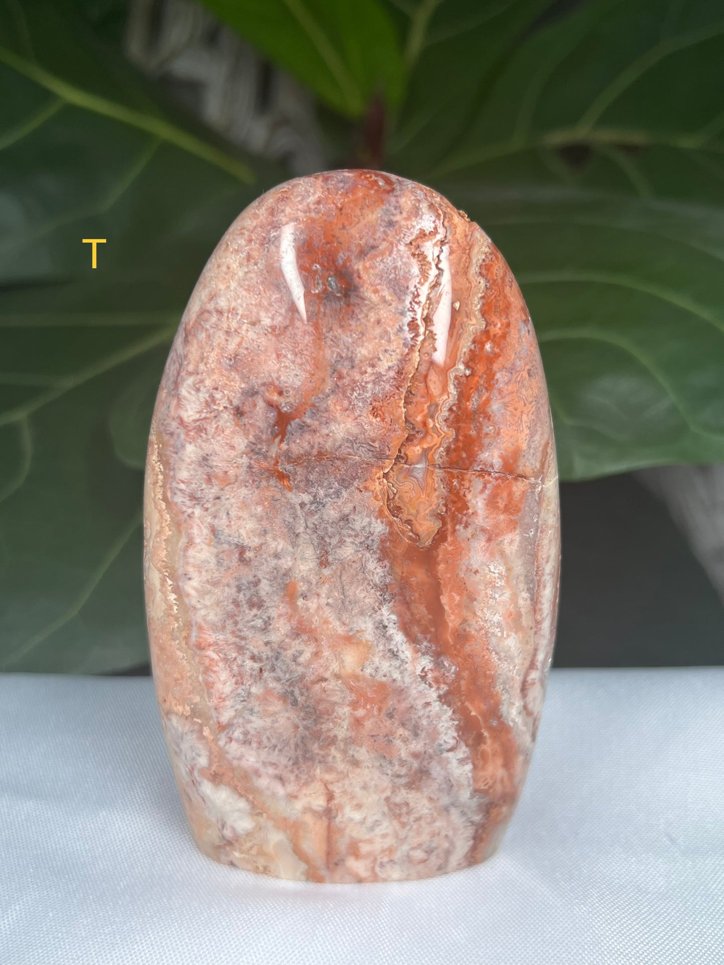 Crazy Lace Agate Freeforms