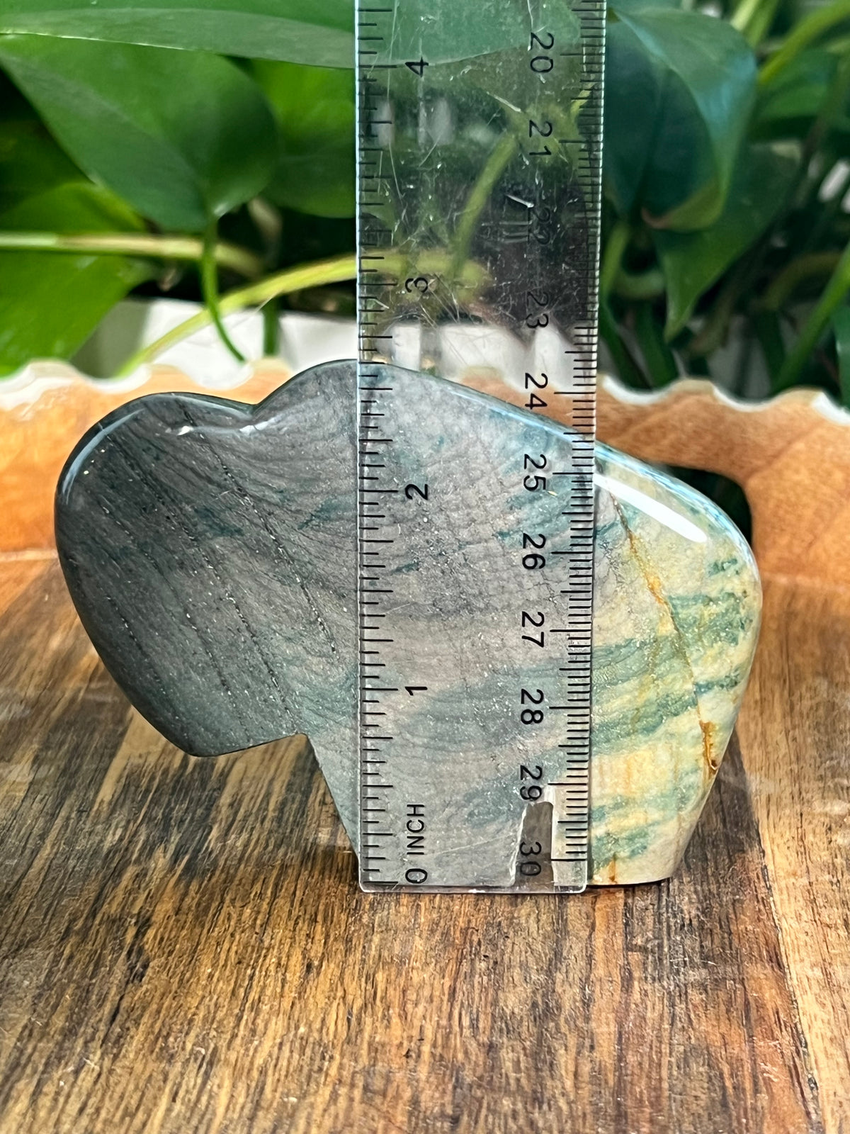 Blue Green Jasper Buffalos