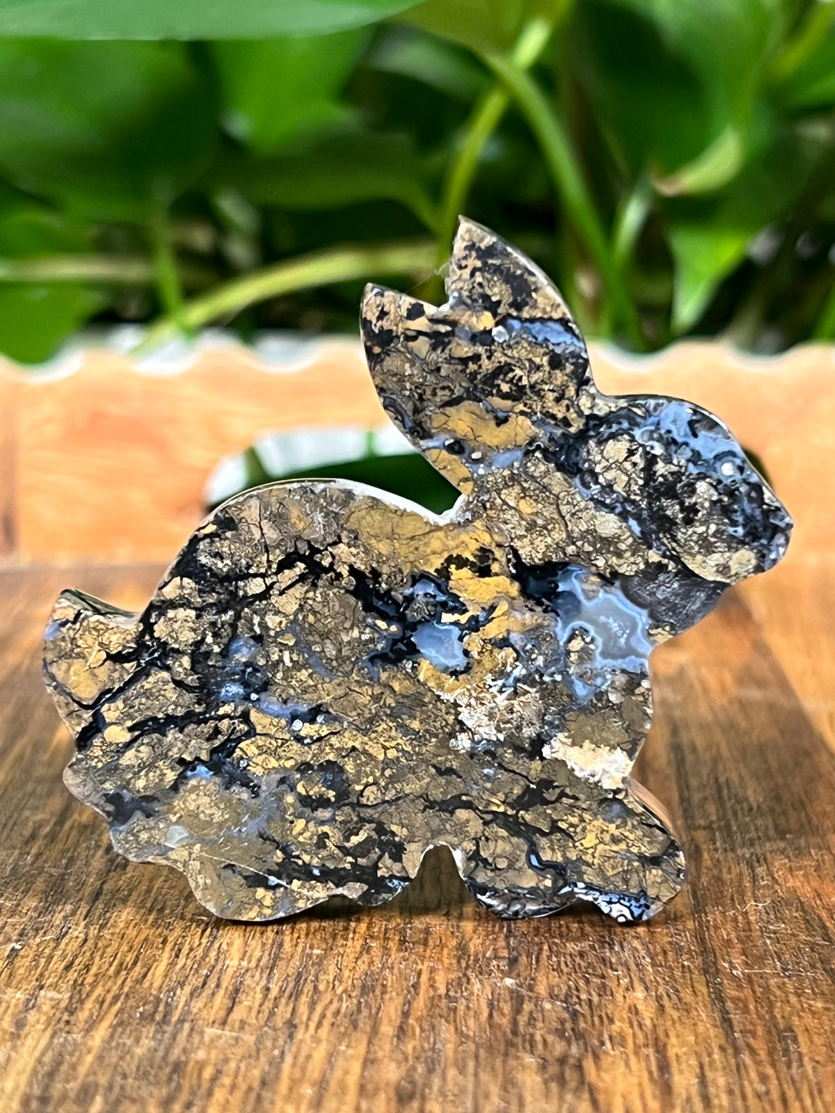 Brecciated Jasper Bunnies