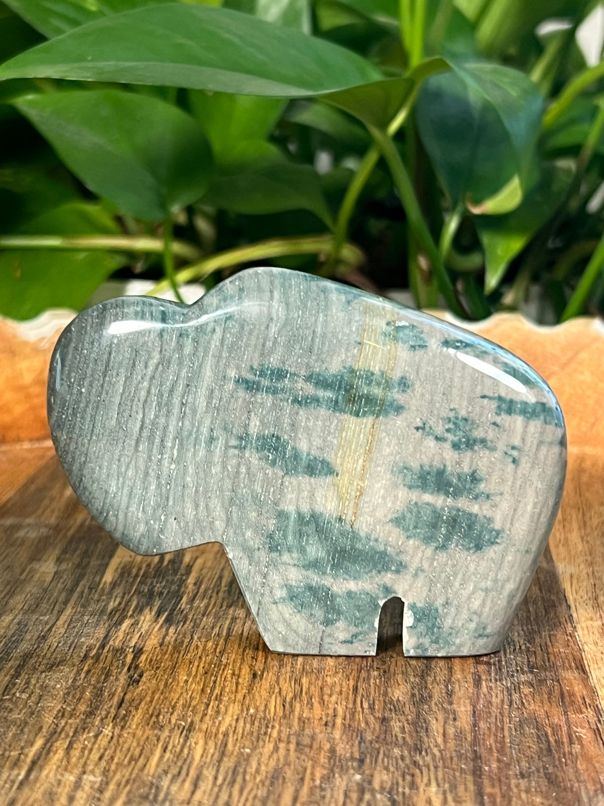 Blue Green Jasper Buffalos