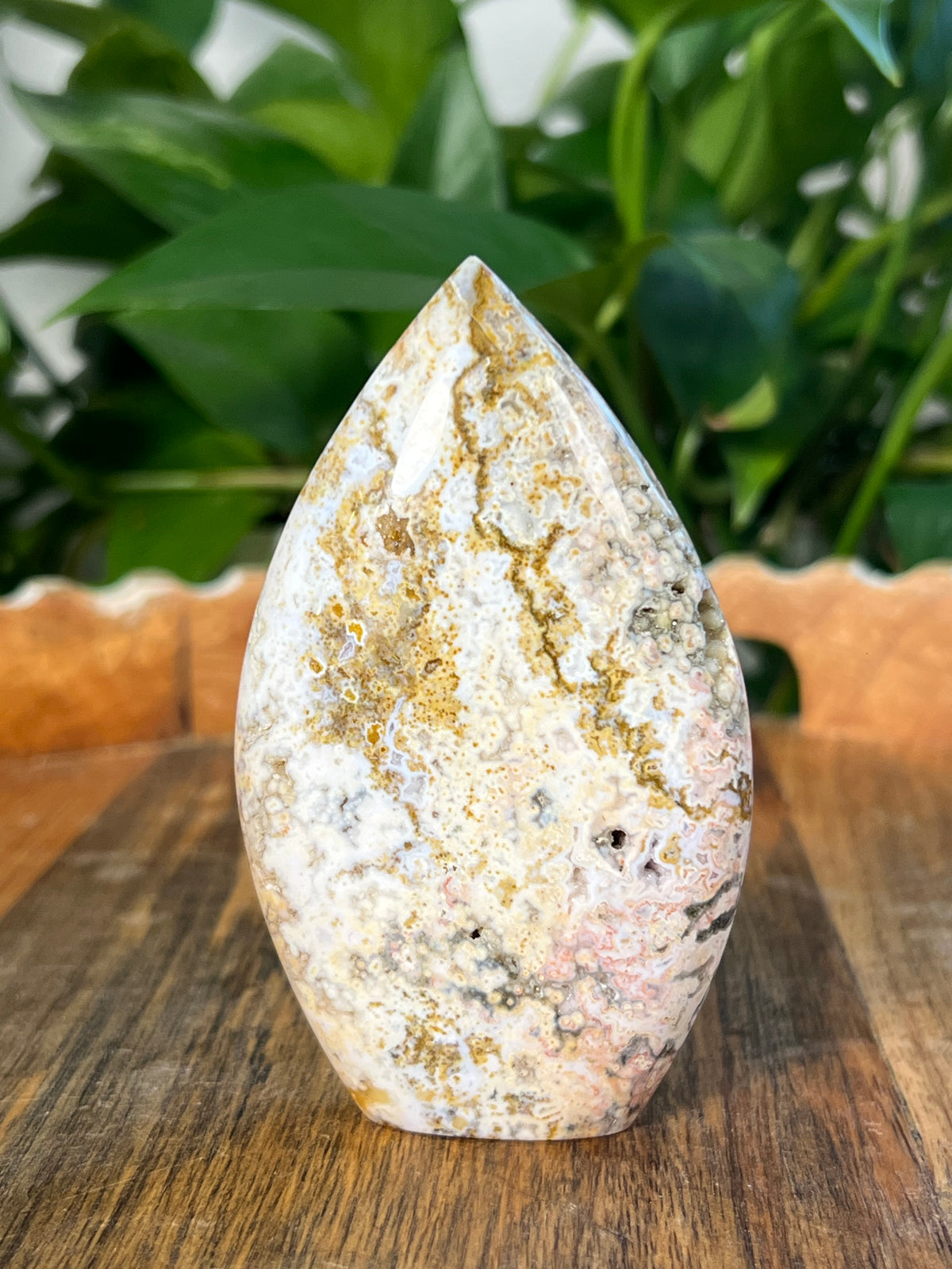 Sea Jasper Flame: NA