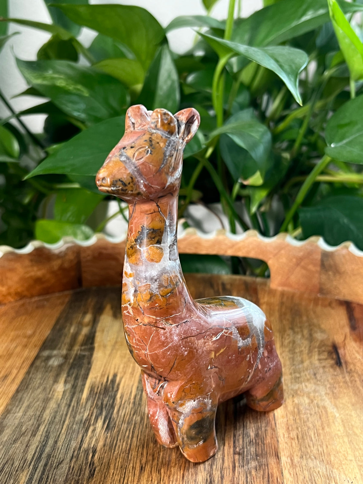 Brecciated Jasper Giraffe: AK