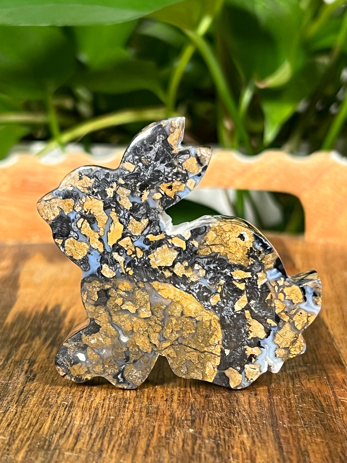 Brecciated Jasper Bunnies