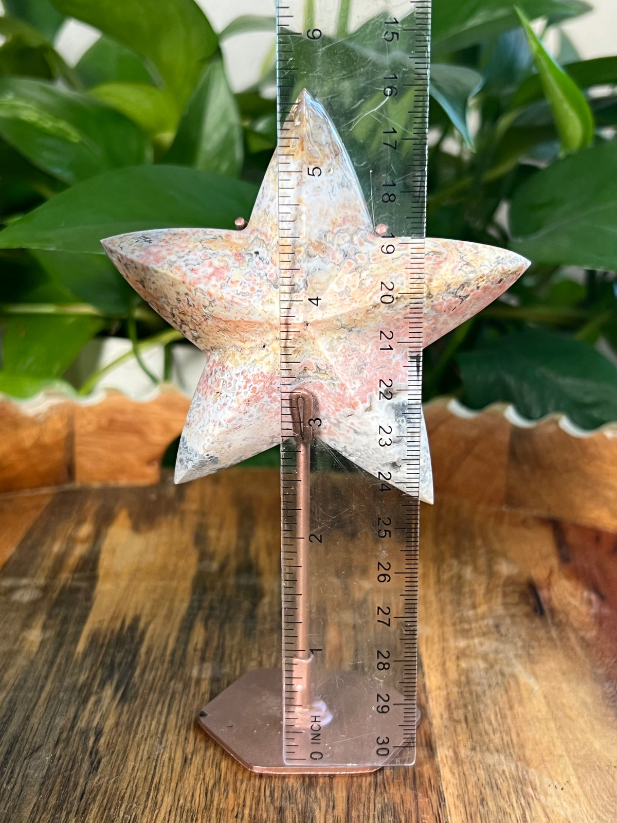 Sea Jasper Stars