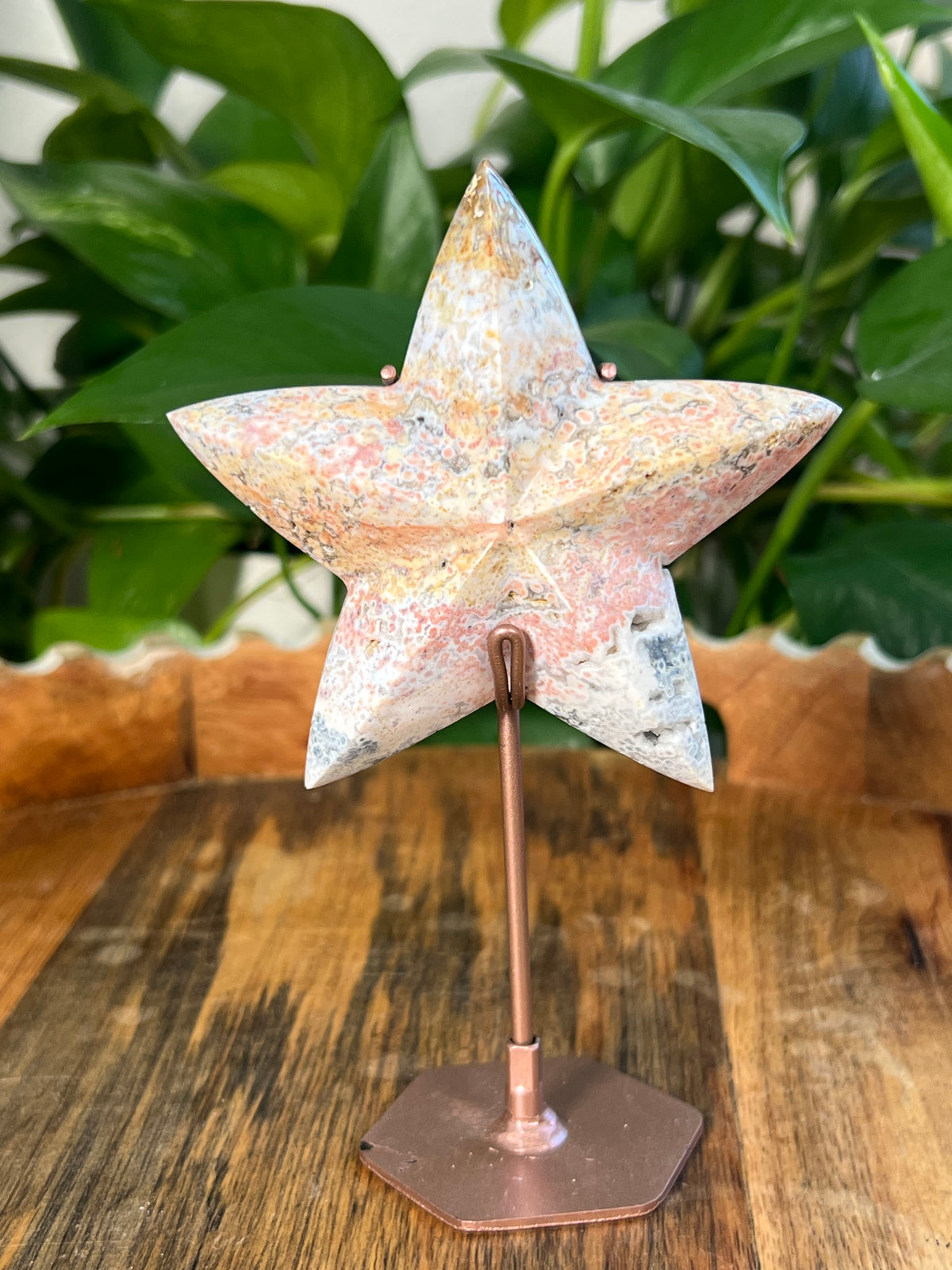 Sea Jasper Stars