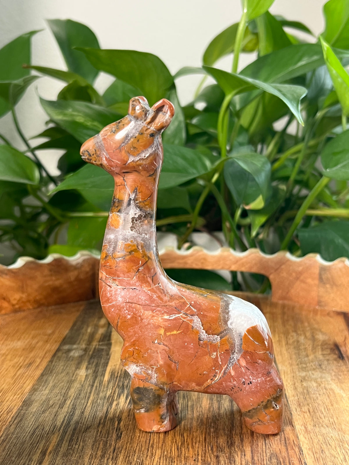 Brecciated Jasper Giraffe: AK