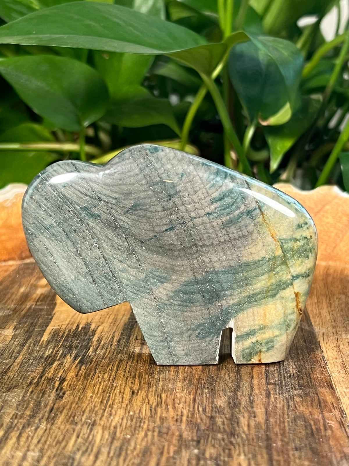 Blue Green Jasper Buffalos