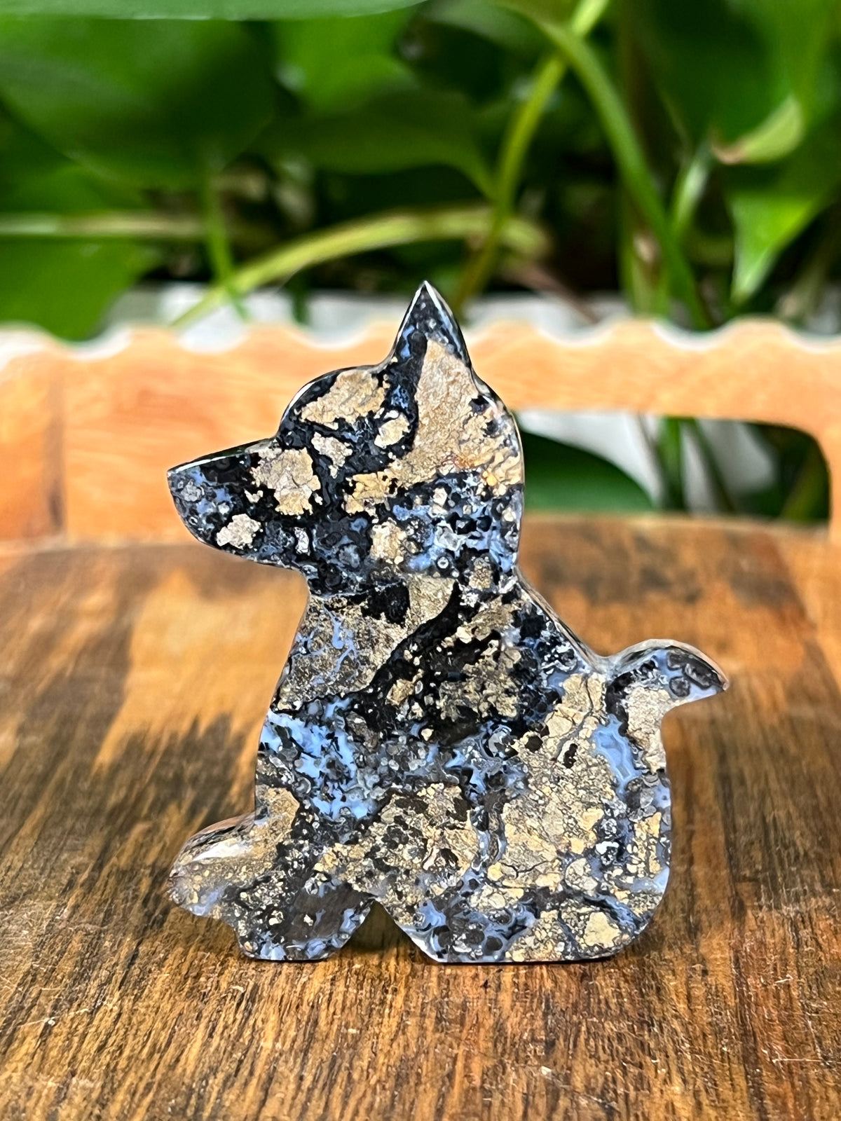 Brecciated Jasper Dogs