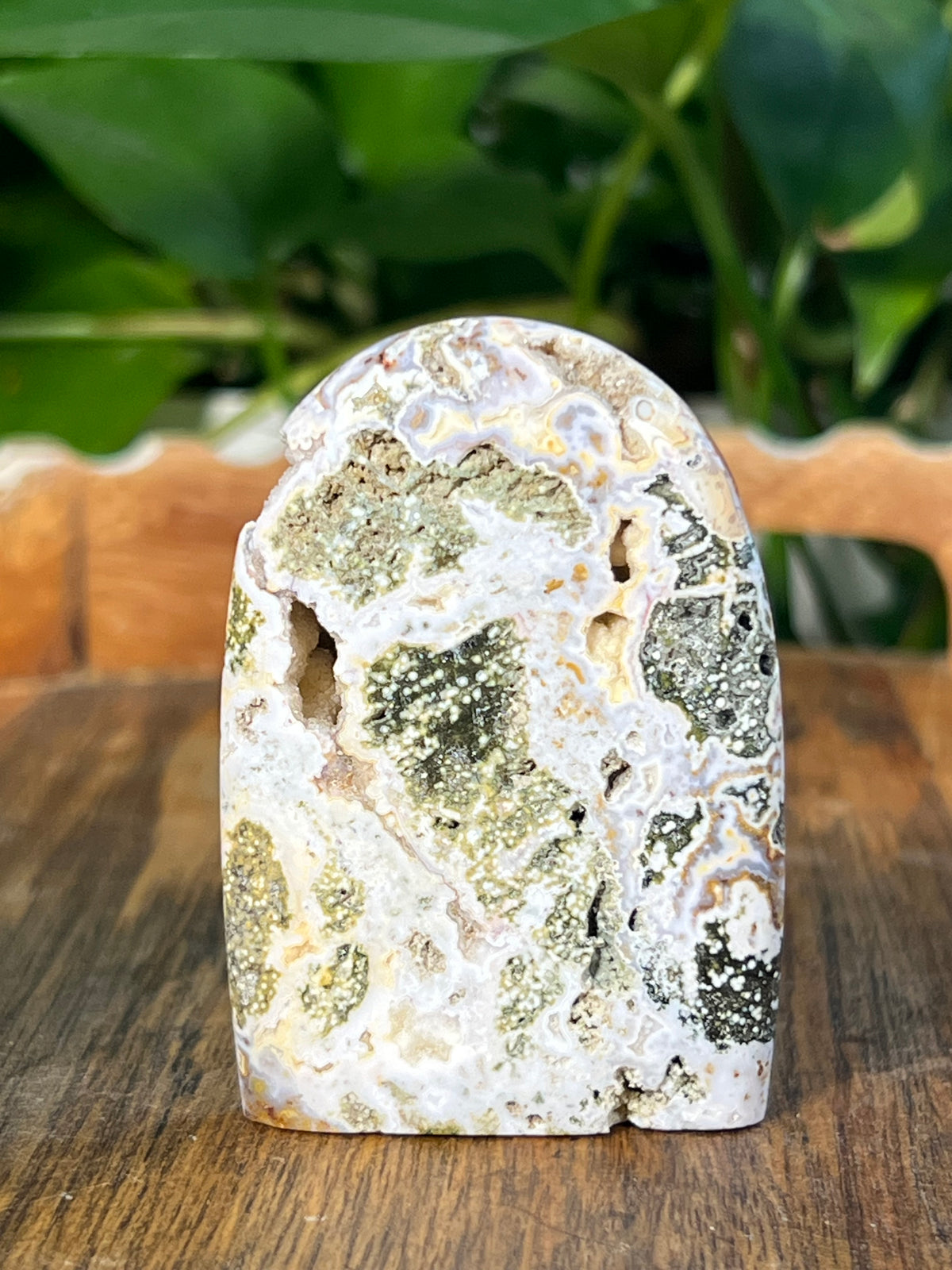 Sea Jasper Mini Freeforms