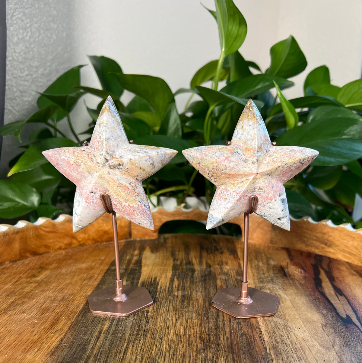 Sea Jasper Stars