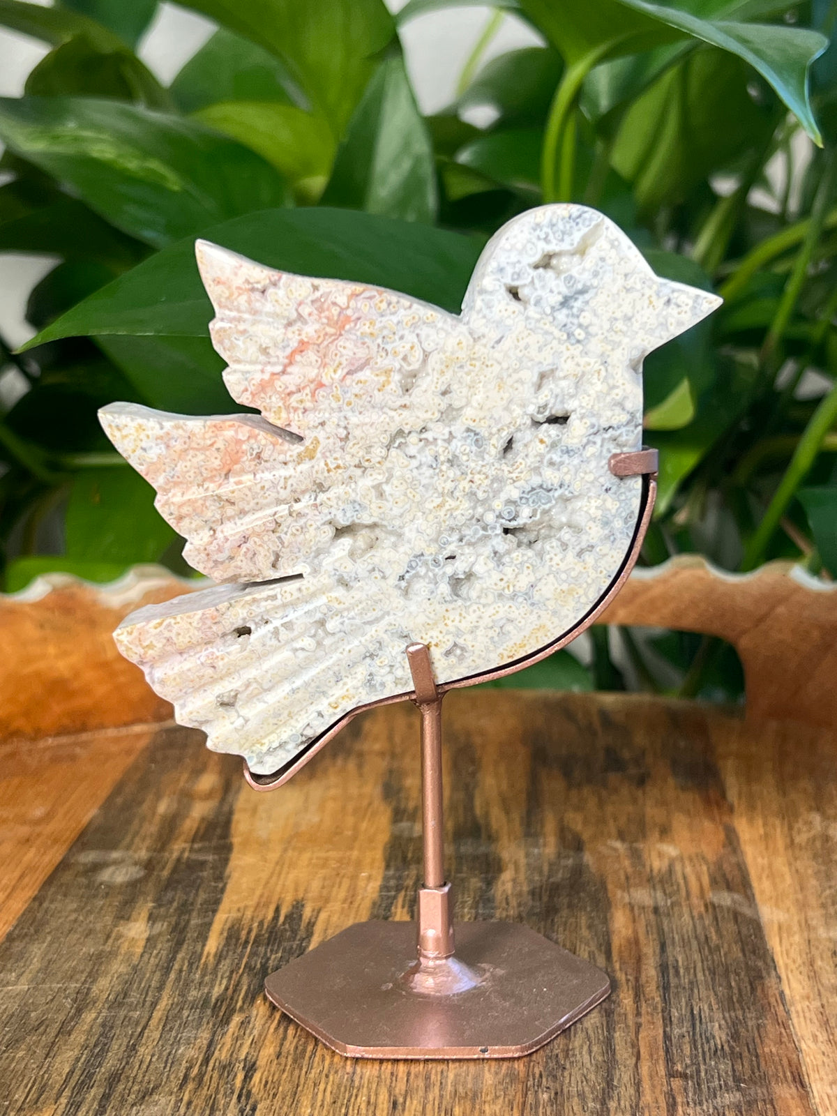 Sea Jasper Birds