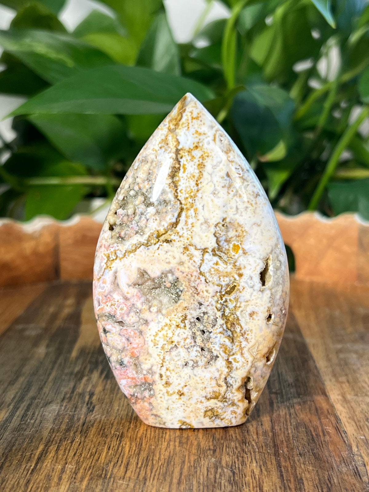Sea Jasper Flame: NA