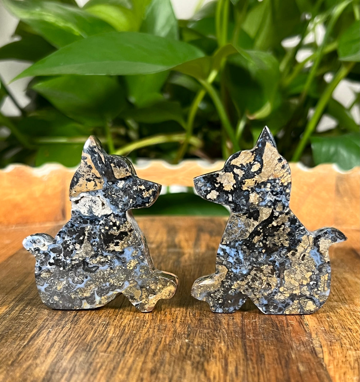 Brecciated Jasper Dogs
