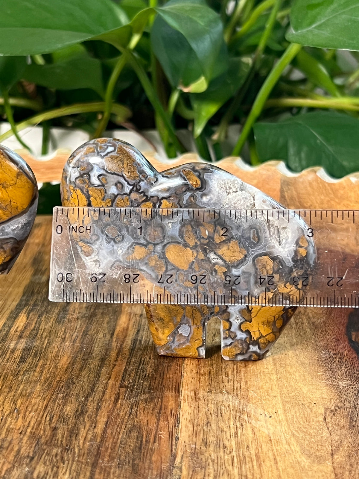 Brecciated Jasper Buffalos