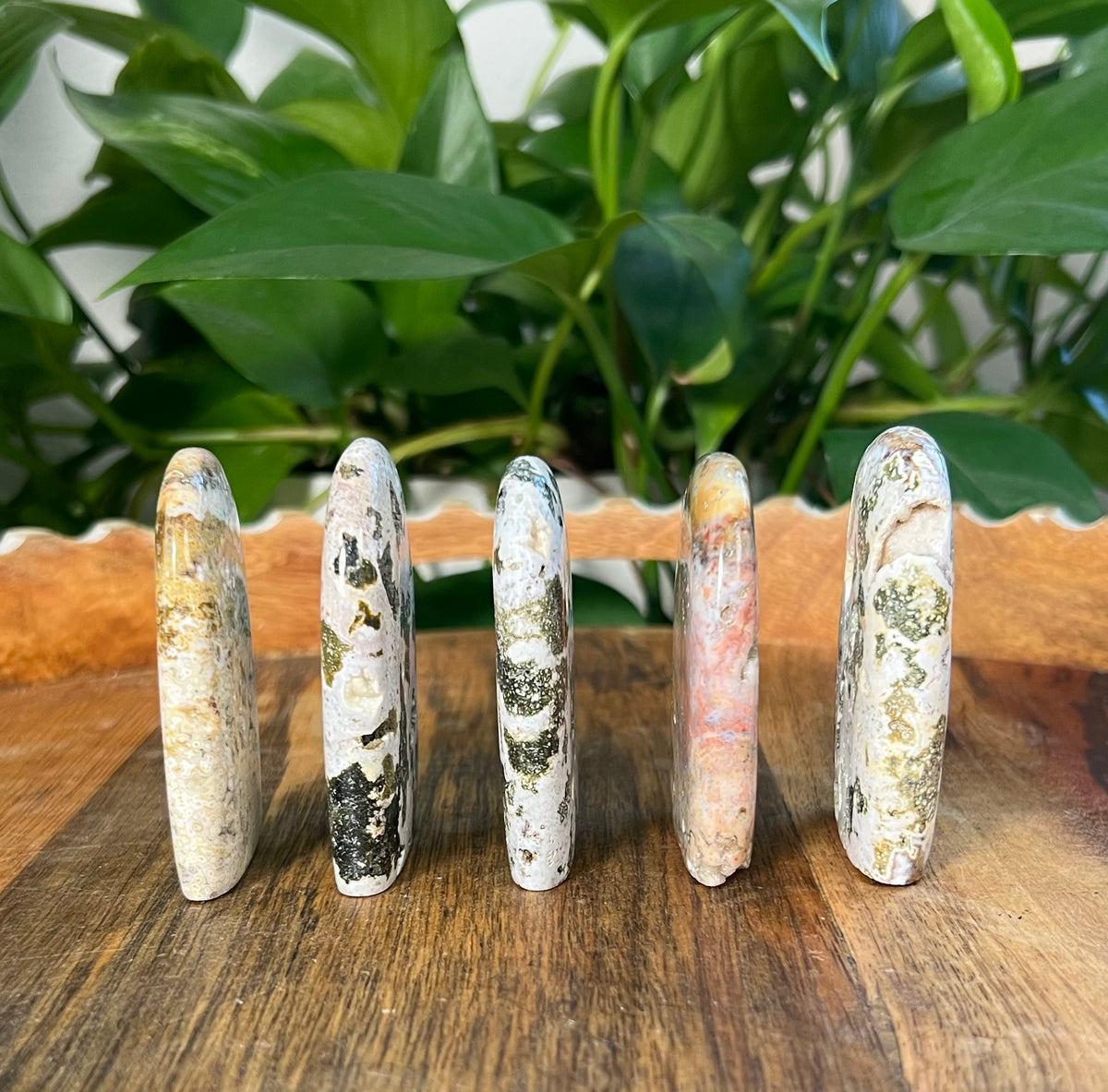 Sea Jasper Mini Freeforms