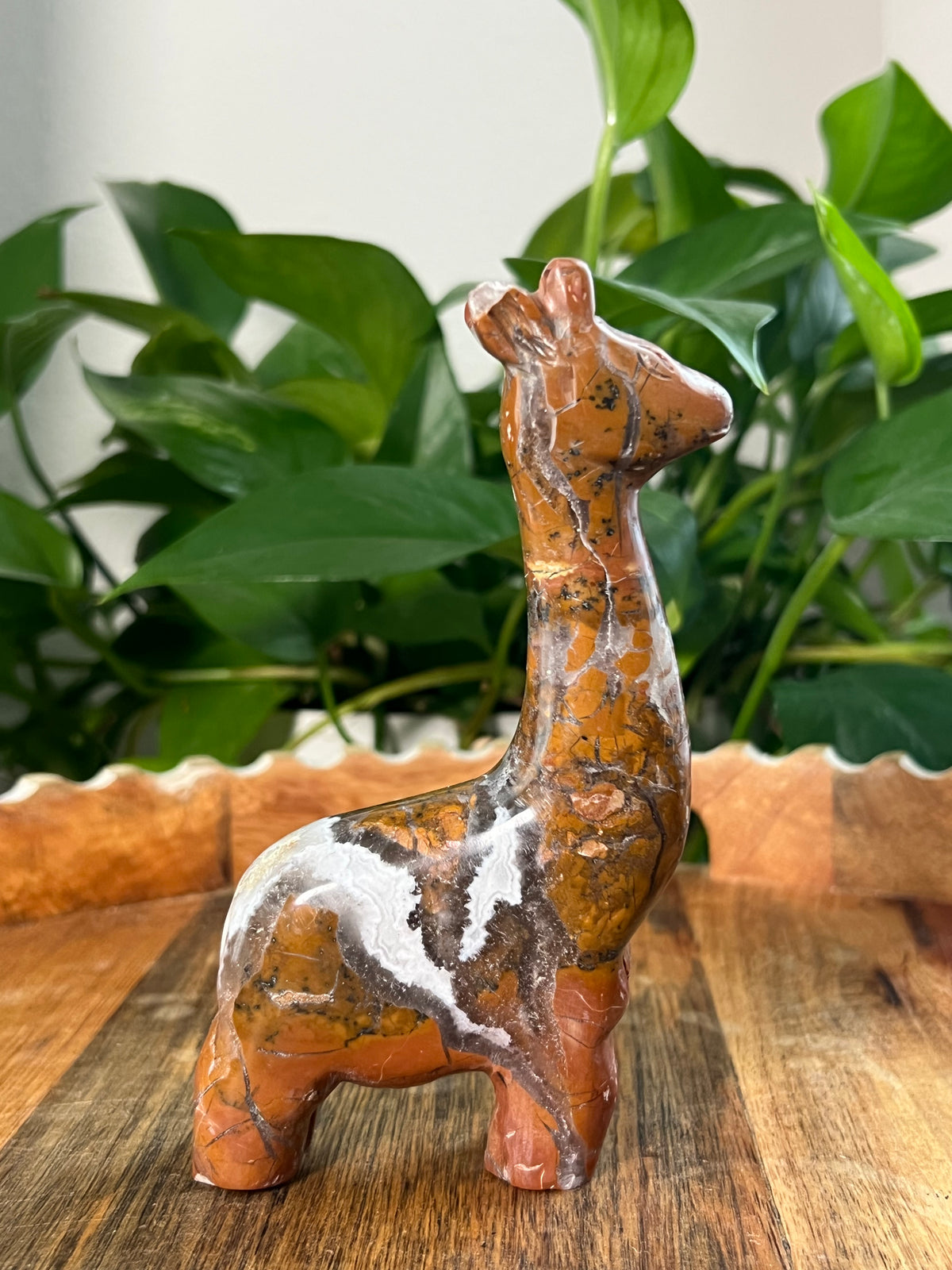 Brecciated Jasper Giraffe: AK