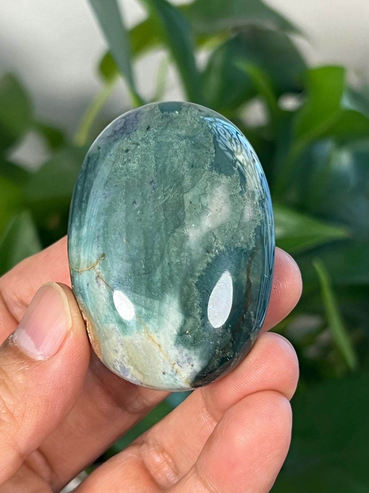 Blue Green Jasper Palmstones