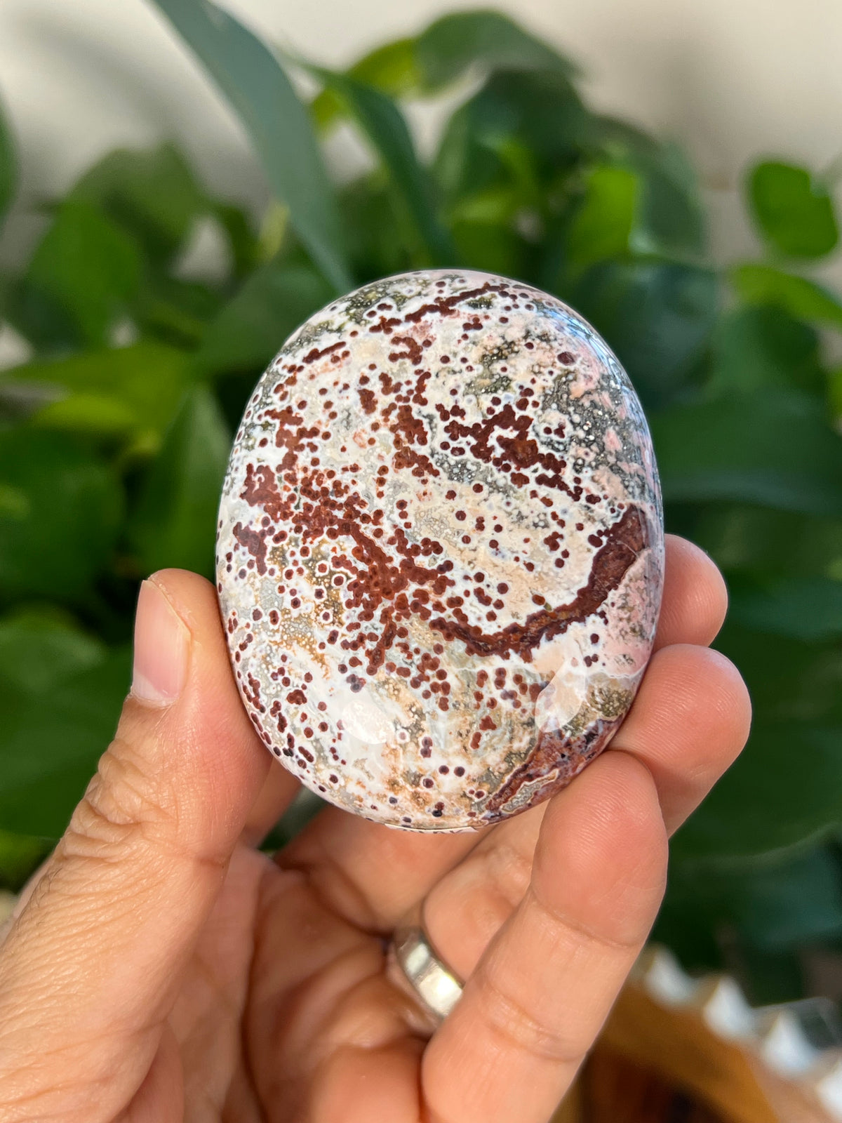 Sea Jasper Palmstone: AK