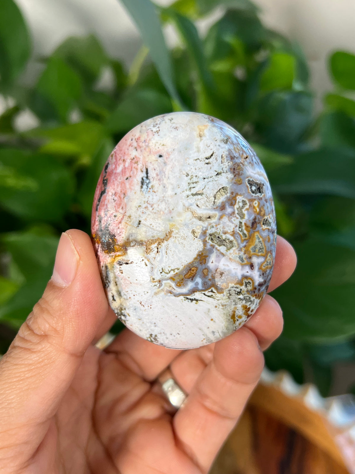 Sea Jasper Palmstone: AF