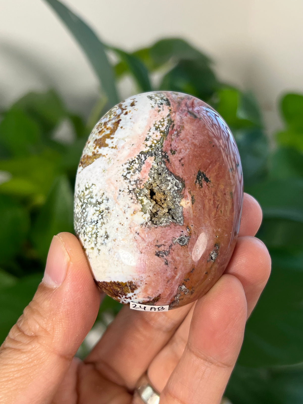 Sea Jasper Palmstone: AB